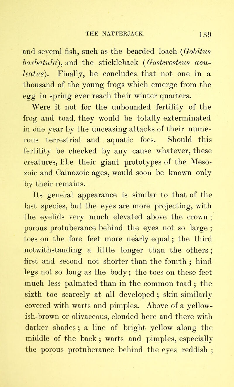 and several fish, such as the bearded loach (Gobitus barbcttuld), and the stickleback (Gasterosteus cicu- leatus). Finally, he concludes that not one in a thousand of the young frogs which emerge from the egg in spring ever reach their winter quarters. Were it not for the unbounded fertility of the frog and toad, they would be totally exterminated in one year by the unceasing attacks of their nume- rous terrestrial and aquatic foes. Should this fertility be checked by any cause whatever, these creatures, like their giant prototypes of the Meso- zoic and Cainozoic ages, would soon be known only by their remains. Its general appearance is similar to that of the last species, but the eyes are more projecting, with the eyelids very much elevated above the crown ; porous protuberance behind the eyes not so large ; toes on the fore feet more nearly equal; the third notwithstanding a little longer than the others; first and second not shorter than the fourth ; hind legs not so long as the body; the toes on these feet much less palmated than in the common toad ; the sixth toe scarcely at all developed; skin similarly covered with warts and pimples. Above of a yellow- ish-brown or olivaceous, clouded here and there with darker shades; a line of bright yellow along the middle of the back ; warts and pimples, especially the porous protuberance behind the eyes reddish ;