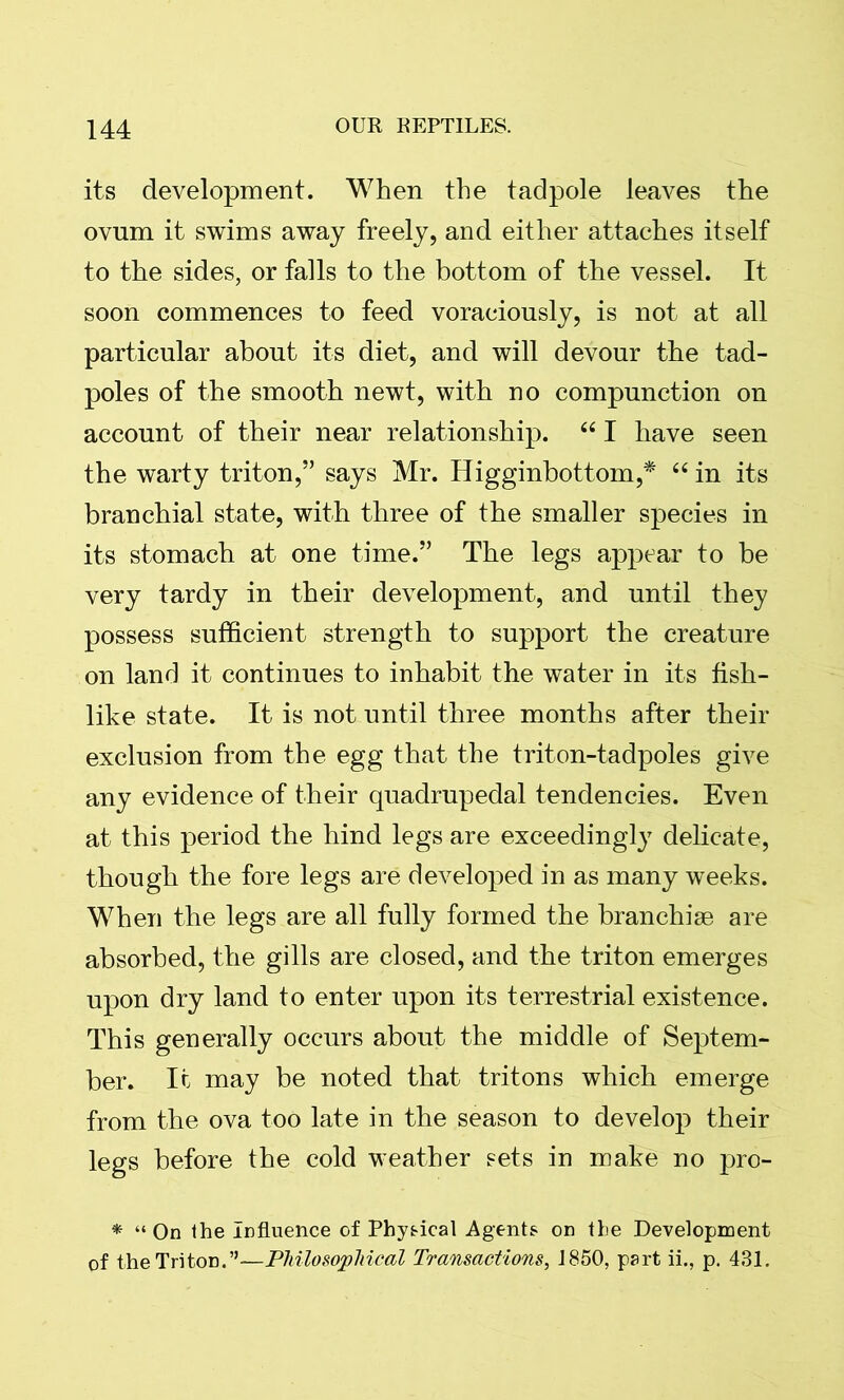 its development. When the tadpole leaves the ovum it swims away freely, and either attaches itself to the sides, or falls to the bottom of the vessel. It soon commences to feed voraciously, is not at all particular about its diet, and will devour the tad- poles of the smooth newt, with no compunction on account of their near relationship. “ I have seen the warty triton,” says Mr. Higginbottom,* “ in its branchial state, with three of the smaller species in its stomach at one time.” The legs appear to be very tardy in their development, and until they possess sufficient strength to support the creature on land it continues to inhabit the water in its fish- like state. It is not until three months after their exclusion from the egg that the triton-tadpoles give any evidence of their quadrupedal tendencies. Even at this period the hind legs are exceedingly delicate, though the fore legs are developed in as many weeks. When the legs are all fully formed the branchiae are absorbed, the gills are closed, and the triton emerges upon dry land to enter upon its terrestrial existence. This generally occurs about the middle of Septem- ber. It may be noted that tritons which emerge from the ova too late in the season to develop their legs before the cold weather sets in make no pro- * “ On the Influence of Physical Agents on the Development of the Triton.”—Philosophical Transactions, J850, part ii., p. 431.