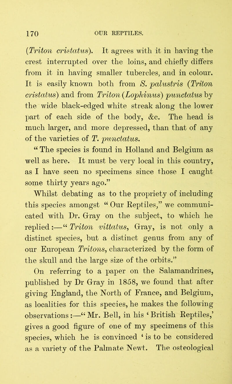 (.Triton cristatus). It agrees with it in having the crest interrupted over the loins, and chiefly differs from it in having smaller tubercles, and in colour. It is easily known both from S. palustris (Triton cristatus) and from Triton (Lophinus) punctatus by the wide black-edged white streak along the lower part of each side of the body, &c. The head is much larger, and more depressed, than that of any of the varieties of T. punctatus. “ The species is found in Holland and Belgium as well as here. It must be very local in this country, as I have seen no specimens since those I caught some thirty years ago.” Whilst debating as to the propriety of including this species amongst “ Our Reptiles,” we communi- cated with Dr. Gfray on the subject, to which he replied:—“ Triton vittatus, Grray, is not only a distinct species, but a distinct genus from any of our European Tritons, characterized by the form of the skull and the large size of the orbits.” On referring to a paper on the Salamandrines, published by Dr Grray in 1858, we found that after giving England, the North of France, and Belgium, as localities for this species, he makes the following observations:—“Mr. Bell, in his ‘British Reptiles,’ gives a good figure of one of my specimens of this species, which he is convinced ‘ is to be considered as a variety of the Palmate Newt. The osteological