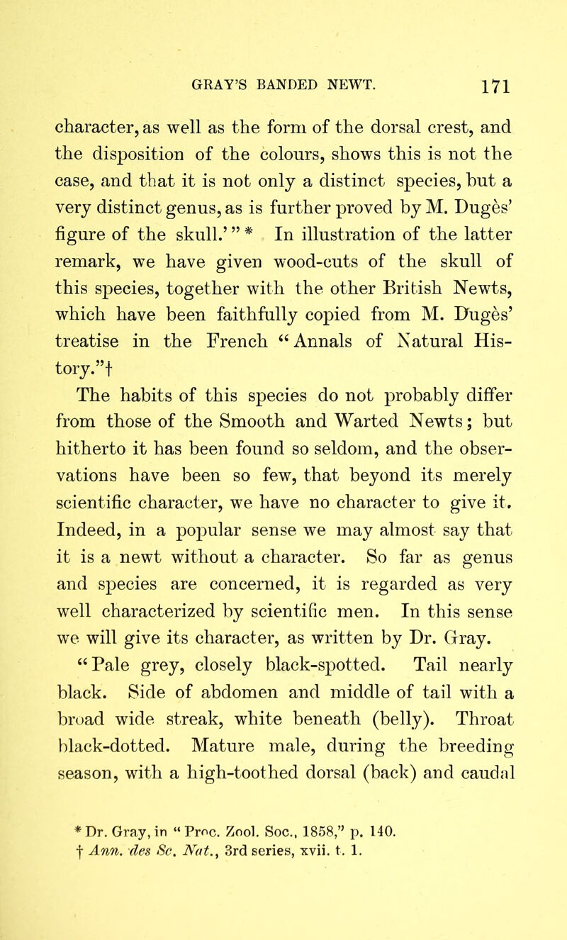 character, as well as the form of the dorsal crest, and the disposition of the colours, shows this is not the case, and that it is not only a distinct species, hut a very distinct genus, as is further proved by M. Duges’ figure of the skull.’ ” * In illustration of the latter remark, we have given wood-cuts of the skull of this species, together with the other British Newts, which have been faithfully copied from M. Duges’ treatise in the French “ Annals of Natural His- tory.”! The habits of this species do not probably differ from those of the Smooth and Warted Newts; but hitherto it has been found so seldom, and the obser- vations have been so few, that beyond its merely scientific character, we have no character to give it. Indeed, in a popular sense we may almost say that it is a newt without a character. So far as genus and species are concerned, it is regarded as very well characterized by scientific men. In this sense we will give its character, as written by Dr. Gray. “Pale grey, closely black-spotted. Tail nearly black. Side of abdomen and middle of tail with a broad wide streak, white beneath (belly). Throat black-dotted. Mature male, during the breeding season, with a high-toothed dorsal (back) and caudal *Dr. Gray, in “Proc. Zool. Soc., 1858,” p. 140. f Ann. des Sc. Nat., 3rd series, xvii. t. 1.