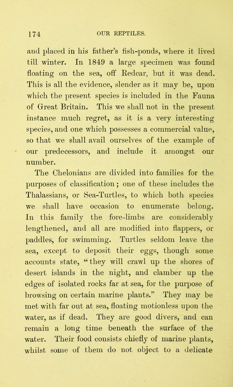 and placed in his father’s fish-ponds, where it lived till winter. In 1849 a large specimen was found floating on the sea, off Eedcar, but it was dead. This is all the evidence, slender as it may be, upon which the present species is included in the Fauna of Great Britain. This we shall not in the present instance much regret, as it is a very interesting species, and one which possesses a commercial value, so that we shall avail ourselves of the example of our predecessors, and include it amongst our number. The Chelonians are divided into families for the purposes of classification; one of these includes the Thalassians, or Sea-Turtles, to which both species we shall have occasion to enumerate belong. In this family the fore-limbs are considerably lengthened, and all are modified into flappers, or paddles, for swimming. Turtles seldom leave the sea, except to deposit their eggs, though some accounts state, “ they will crawl up the shores of desert islands in the night, and clamber up the edges of isolated rocks far at sea, for the purpose of browsing on certain marine plants.” They may be met with far out at sea, floating motionless upon the water, as if dead. They are good divers, and can remain a long time beneath the surface of the water. Their food consists chiefly of marine plants, whilst some of them do not object to a delicate