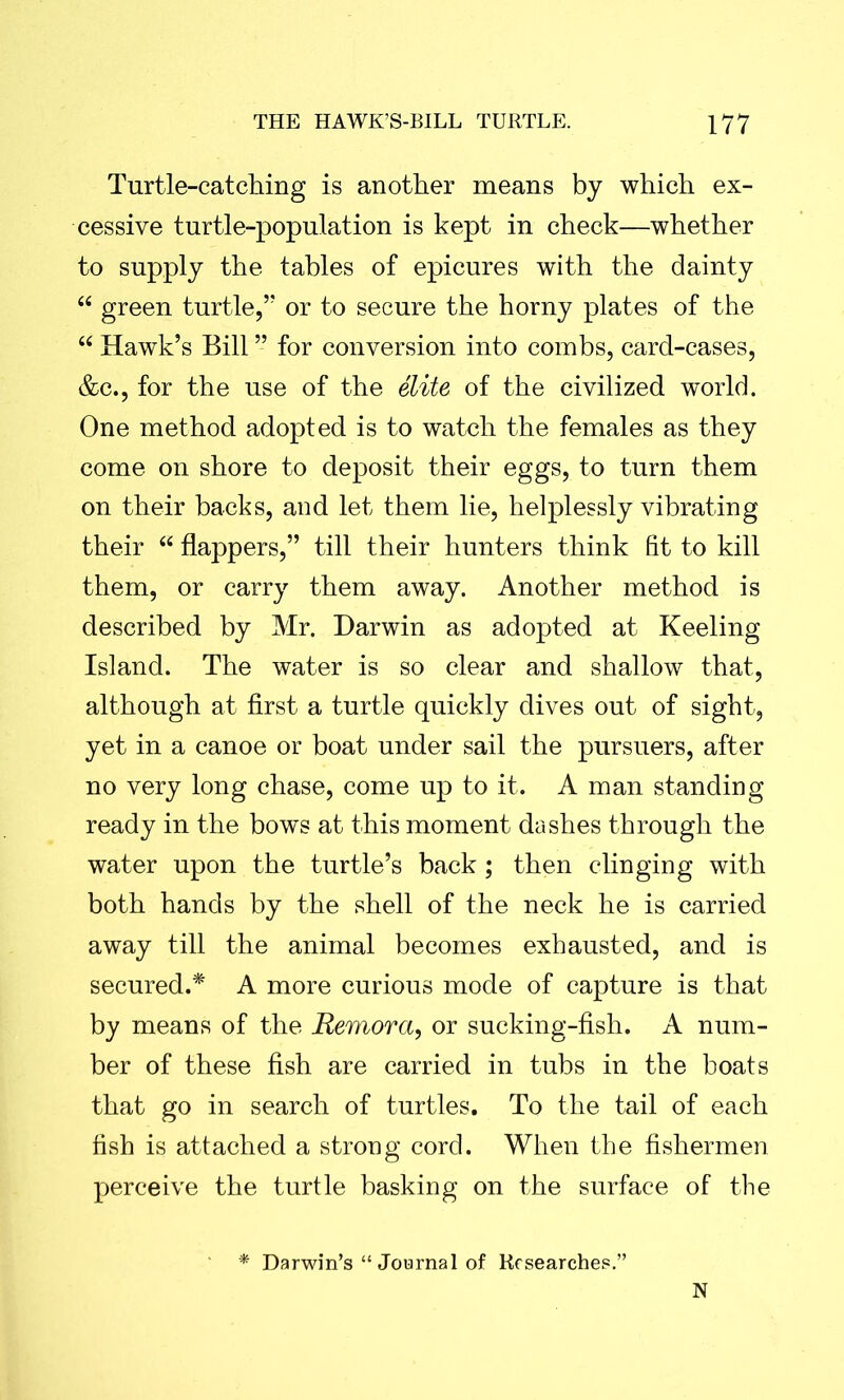 Turtle-catching is another means by which ex- cessive turtle-population is kept in check—whether to supply the tables of epicures with the dainty “ green turtle,” or to secure the horny plates of the “ Hawk’s Bill ” for conversion into combs, card-cases, &c., for the use of the elite of the civilized world. One method adopted is to watch the females as they come on shore to deposit their eggs, to turn them on their backs, and let them lie, helplessly vibrating their “ flappers,” till their hunters think fit to kill them, or carry them away. Another method is described by Mr. Darwin as adopted at Keeling Island. The water is so clear and shallow that, although at first a turtle quickly dives out of sight, yet in a canoe or boat under sail the pursuers, after no very long chase, come up to it. A man standing ready in the bows at this moment dashes through the water upon the turtle’s back ; then clinging with both hands by the shell of the neck he is carried away till the animal becomes exhausted, and is secured.* A more curious mode of capture is that by means of the Remora, or sucking-fish. A num- ber of these fish are carried in tubs in the boats that go in search of turtles. To the tail of each fish is attached a strong cord. When the fishermen perceive the turtle basking on the surface of the * Darwin’s “ Journal of Researches.” N