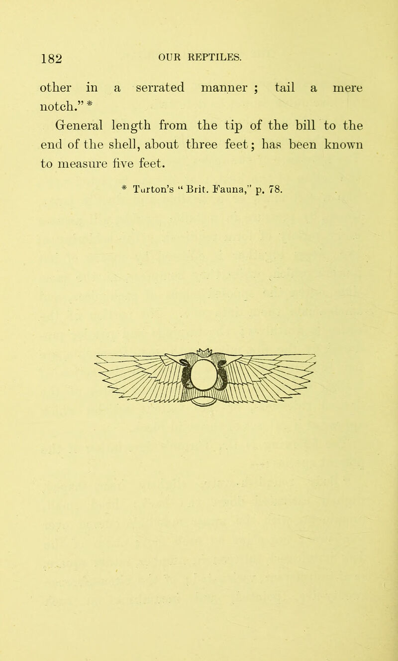 other in a serrated manner ; tail a mere notch.” * G eneral length from the tip of the bill to the end of the shell, about three feet; has been known to measure five feet.