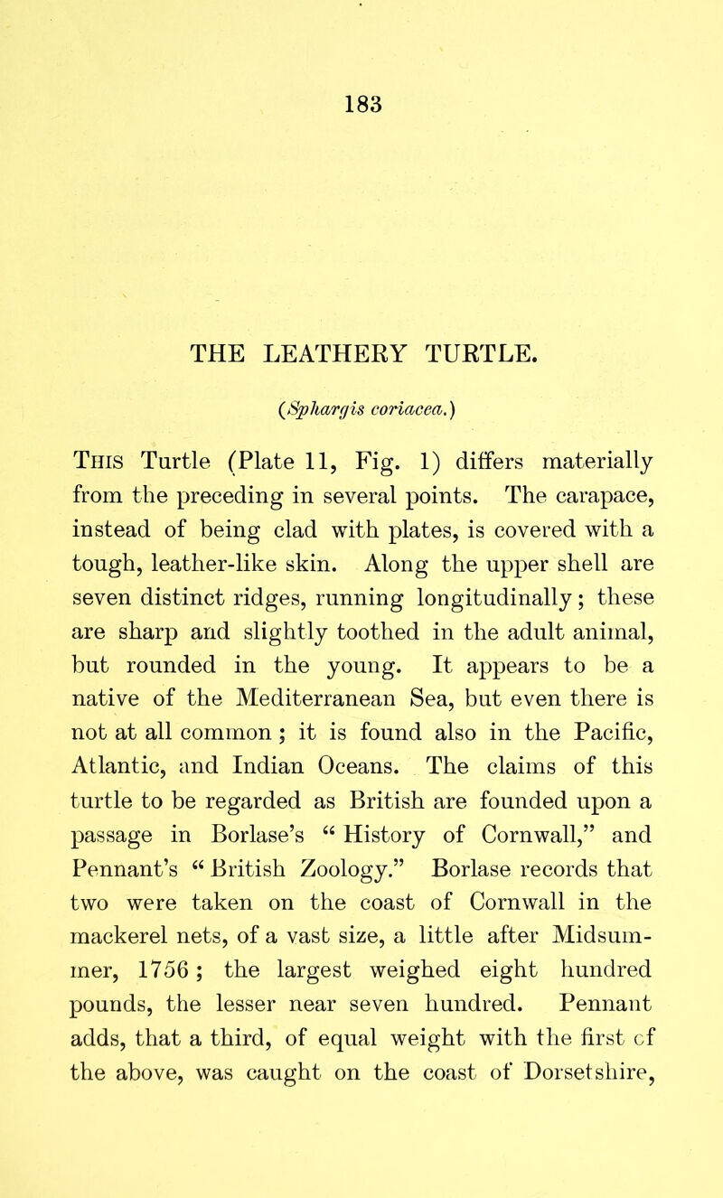 THE LEATHERY TURTLE. (Sphargis coriacea.) This Turtle (Plate 11, Fig. 1) differs materially from the preceding in several points. The carapace, instead of being clad with plates, is covered with a tough, leather-like skin. Along the upper shell are seven distinct ridges, running longitudinally; these are sharp and slightly toothed in the adult animal, but rounded in the young. It appears to be a native of the Mediterranean Sea, but even there is not at all common; it is found also in the Pacific, Atlantic, and Indian Oceans. The claims of this turtle to be regarded as British are founded upon a passage in Borlase’s 44 History of Cornwall,” and Pennant’s 44 British Zoology.” Borlase records that two were taken on the coast of Cornwall in the mackerel nets, of a vast size, a little after Midsum- mer, 1756 ; the largest weighed eight hundred pounds, the lesser near seven hundred. Pennant adds, that a third, of equal weight with the first cf the above, was caught on the coast of Dorsetshire,