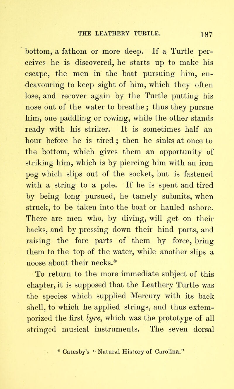 bottom, a fathom or more deep. If a Turtle per- ceives he is discovered, he starts up to make his escape, the men in the boat pursuing him, en- deavouring to keep sight of him, which they often lose, and recover again by the Turtle putting his nose out of the water to breathe; thus they pursue him, one paddling or rowing, while the other stands ready with his striker. It is sometimes half an hour before he is tired; then he sinks at once to the bottom, which gives them an opportunity of striking him, which is by piercing him with an iron peg which slips out of the socket, but is fastened with a string to a pole. If he is spent and tired by being long pursued, he tamely submits, when struck, to be taken into the boat or hauled ashore. There are men who, by diving, will get on their backs, and by pressing down their hind parts, and raising the fore parts of them by force, bring them to the top of the water, while another slips a noose about their necks.* To return to the more immediate subject of this chapter, it is supposed that the Leathery Turtle was the species which supplied Mercury with its back shell, to which he applied strings, and thus extem- porized the first lyre, which was the prototype of all stringed musical instruments. The seven dorsal Catesby’s “Natural History of Carolina.”