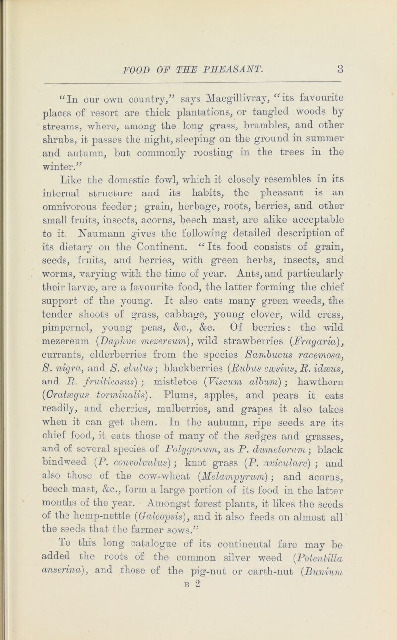 “ In our own country/7 says Macgillivray, “its favourite places of resort are thick plantations, or tangled woods by streams, where, among’ the long* grass, brambles, and other shrubs, it passes the night, sleeping on the ground in summer and autumn, but commonly roosting in the trees in the winter.77 Like the domestic fowl, which it closely resembles in its internal structure and its habits, the pheasant is an omnivorous feeder; grain, herbage, roots, berries, and other small fruits, insects, acorns, beech mast, are alike acceptable to it. Naumann gives the following detailed description of its dietary on the Continent. “Its food consists of grain, seeds, fruits, and berries, with green herbs, insects, and worms, varying with the time of year. Ants, and particularly their larvae, are a favourite food, the latter forming the chief support of the young. It also eats many green weeds, the tender shoots of grass, cabbage, young clover, wild cress, pimpernel, young peas, &c., &c. Of berries: the wild mezereum {Daphne mezereum), wild strawberries [Fragaria), currants, elderberries from the species Samhucus racemosa, S. nigra, and S. ebulus; blackberries (.Rubus csesius, B. idseus, and R. fruiticosus) ; mistletoe (Viscum album); hawthorn (Gratsegus torminalis). Plums, apples, and pears it eats readily, and cherries, mulberries, and grapes it also takes when it can get them. In the autumn, ripe seeds are its chief food, it eats those of many of the sedges and grasses, and of several species of Polygonum, as P. dumetorum; black bindweed (P. convolvulus); knot grass (P. aviculare) ; and also those of the cow-wheat (Melampyrum) ; and acorns, beech mast, &c., form a large portion of its food in the latter months of the year. Amongst forest plants, it likes the seeds of the hemp-nettle (Galeopsis), and it also feeds on almost all the seeds that the farmer sows.77 To this long catalogue of its continental fare may be added the roots of the common silver weed (Potentilla anserina), and those of the pig-nut or earth-nut (.Bunium b 2