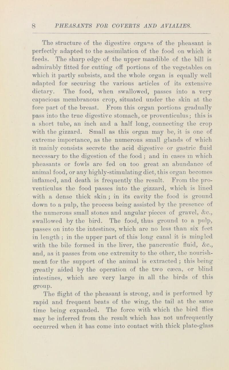 The structure of the digestive organs of the pheasant is perfectly adapted to the assimilation of the food on which it feeds. The sharp edge of the upper mandible of the bill is admirably fitted for cutting off portions of the vegetables on which it partly subsists, and the whole organ is equally well adapted for securing the various articles of its extensive dietary. The food, when swallowed, passes into a very capacious membranous crop, situated under the skin at the fore part of the breast. From this organ portions gradually pass into the true digestive stomach, or proventiculus; this is a short tube, an inch and a half long, connecting the crop with the gizzard. Small as this organ may be, it is one of extreme importance, as the numerous small glands of which it mainly consists secrete the acid digestive or gastric fluid necessary to the digestion of the food; and in cases in which pheasants or fowls are fed on too great an abundance of animal food, or any highly-stimulating diet, this organ becomes inflamed, and death is frequently the result. From the pro- venticulus the food passes into the gizzard, which is lined with a dense thick skin ; in its cavity the food is ground down to a pulp, the process being assisted by the presence of the numerous small stones and angular pieces of gravel, &c., swallowed by the bird. The food, thus ground to a pulp, passes on into the intestines, which are no less than six feet in length ; in the upper part of this long canal it is mingled with the bile formed in the liver, the pancreatic fluid, &c., and, as it passes from one extremity to the other, the nourish- ment for the support of the animal is extracted ; this being greatly aided by the operation of the two ca?ca, or blind intestines, which are very large in all the birds of this group. The flight of the pheasant is strong, and is performed by rapid and frequent beats of the wing, the tail at the same time being expanded. The force with which the bird flies may be inferred from the result which has not unfrequently occurred when it has come into contact with thick plate-glass