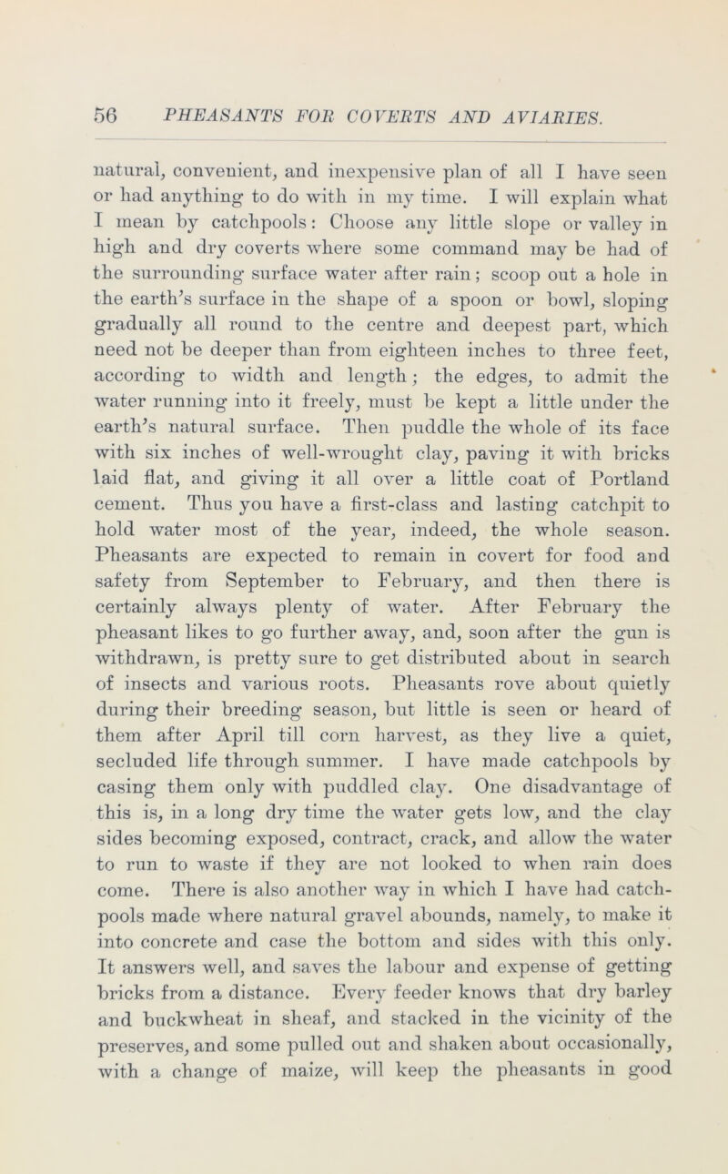 natural, convenient, and inexpensive plan of all I have seen or had anything to do with in my time. I will explain what I mean by catchpools: Choose any little slope or valley in high and dry coverts where some command may be had of the surrounding surface water after rain; scoop out a hole in the earth's surface in the shape of a spoon or bowl, sloping gradually all round to the centre and deepest part, which need not be deeper than from eighteen inches to three feet, according to width and length; the edges, to admit the water running into it freely, must be kept a little under the earth's natural surface. Then puddle the whole of its face with six inches of well-wrought clay, paving it with bricks laid flat, and giving it all over a little coat of Portland cement. Thus you have a first-class and lasting catchpit to hold water most of the year, indeed, the whole season. Pheasants are expected to remain in covert for food and safety from September to February, and then there is certainly always plenty of water. After February the pheasant likes to go further away, and, soon after the gun is withdrawn, is pretty sure to get distributed about in search of insects and various roots. Pheasants rove about quietly during their breeding season, but little is seen or heard of them after April till corn harvest, as they live a quiet, secluded life through summer. I have made catchpools by casing them only with puddled clay. One disadvantage of this is, in a long dry time the water gets low, and the clay sides becoming exposed, contract, crack, and allow the water to run to waste if they are not looked to when rain does come. There is also another way in which I have had catch- pools made where natural gravel abounds, namely, to make it into concrete and case the bottom and sides with this only. It answers well, and saves the labour and expense of getting bricks from a distance. Every feeder knows that dry barley and buckwheat in sheaf, and stacked in the vicinity of the preserves, and some pulled out and shaken about occasionally, with a change of maize, will keep the pheasants in good