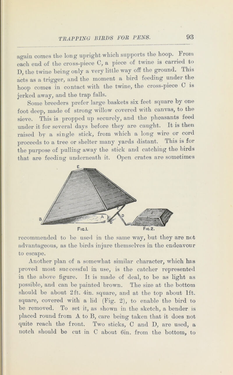 again comes the long upright which supports the hoop, F 10m each end of the cross-piece C, a piece of twine is carried to D, the twine being only a very little way off the ground. This acts as a trigger, and the moment a bird feeding undei the hoop comes in contact with the twine, the cross-piece 0 is jerked away, and the trap falls. Some breeders prefer large baskets six feet square by one foot deep, made of strong willow covered with canvas, to the sieve. This is propped up securely, and the pheasants feed under it for several days before they are caught. It is then raised by a single stick, from which a long wire or cord proceeds to a tree or shelter many yards distant. This is for the purpose of pulling away the stick and catching the birds that are feeding underneath it. Open crates are sometimes Fic.l. Fic.2. recommended to be used in the same way, but they are not advantageous, as the birds injure themselves in the endeavour to escape. Another plan of a somewhat similar character, which has proved most successful in use, is the catcher represented in the above figure. It is made of deal, to be as light as possible, and can be painted brown. The size at the bottom should be about 2ft. 4in. square, and at the top about 1ft. square, covered with a lid (Fig. 2), to enable the bird to be removed. To set it, as shown in the sketch, a bender is placed round from A to B, care being taken that it does not quite reach the front. Two sticks, C and D, are used, a notch should be cut in C about Gin. from the bottom, to
