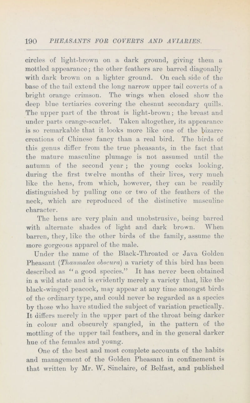 circles of light-brown on a dark ground, giving them a mottled appearance; the other feathers are barred diagonally with dark brown on a lighter ground. On each side of the base of the tail extend the long narrow upper tail coverts of a bright orange crimson. The wings when closed show the deep blue tertiaries covering the chesnut secondary quills. The upper part of the throat is light-brown; the breast and under parts orange-scarlet. Taken altogether, its appearance is so remarkable that it looks more like one of the bizarre creations of Chinese fancy than a real bird. The birds of this genus differ from the true pheasants, in the fact that the mature masculine plumage is not assumed until the autumn of the second year ; the young cocks looking, during the first twelve months of their lives, very much like the hens, from which, however, they can be readily distinguished by pulling one or two of the feathers of the neck, which are reproduced of the distinctive masculine character. The hens are very plain and unobstrusive, being barred with alternate shades of light and dark brown. When barren, they, like the other birds of the family, assume the more gorgeous apparel of the male. Under the name of the Black-Throated or Java Golden Pheasant (Tliaumalea obscura) a variety of this bird has been described as “ a good species.” It has never been obtained in a wild state and is evidently merely a variety that, like the black-winged peacock, may appear at any time amongst birds of the ordinary type, and could never be regarded as a species by those who have studied the subject of variation practically. It differs merely in the upper part of the throat being darker in colour and obscurely spangled, in the pattern of the mottling of the upper tail feathers, and in the general darker hue of the females and young. One of the best and most complete accounts of the habits and management of the Golden Pheasant in confinement is that written by Mr. W. Sinclaire, of Belfast, and published