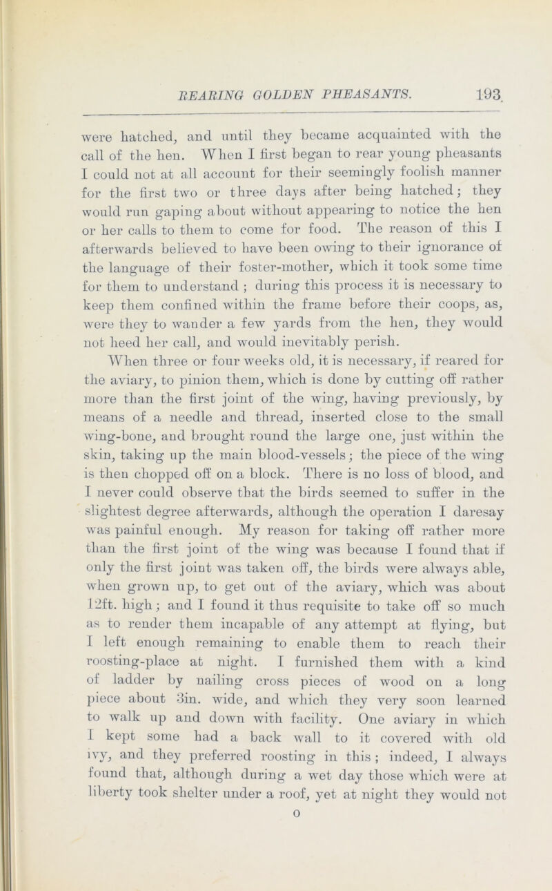 were hatched, and until tliey became acquainted with the call of the hen. When I first began to rear young pheasants I could not at all account for their seemingly foolish manner for the first two or three days after being hatched; they would run gaping about without appearing to notice the hen or her calls to them to come for food. The reason of this I afterwards believed to have been owing to their ignorance of the language of their foster-mother, which it took some time for them to understand ; during this process it is necessary to keep them confined within the frame before their coops, as, were they to wander a few yards from the hen, they would not heed her call, and would inevitably perish. When three or four weeks old, it is necessary, if reared for the aviary, to pinion them, which is done by cutting off rather more than the first joint of the wing, having previously, by means of a needle and thread, inserted close to the small wing-bone, and brought round the large one, just within the skin, taking up the main blood-vessels; the piece of the wing is then chopped off on a block. There is no loss of blood, and I never could observe that the birds seemed to suffer in the slightest degree afterwards, although the operation I daresay was painful enough. My reason for taking off rather more than the first joint of the wing was because I found that if only the first joint was taken off, the birds were always able, when grown up, to get out of the aviary, which was about Tift, high; and I found it thus requisite to take off so much as to render them incapable of any attempt at flying, but I left enough remaining to enable them to reach their roosting-place at night. I furnished them with a kind of ladder by nailing cross pieces of wood on a long piece about 3in. wide, and which they very soon learned to walk up and down with facility. One aviary in which 1 kept some had a back wall to it covered with old ivy, and they preferred roosting in this ; indeed, I always found that, although during a wet day those which were at liberty took shelter under a roof, yet at night they would not o
