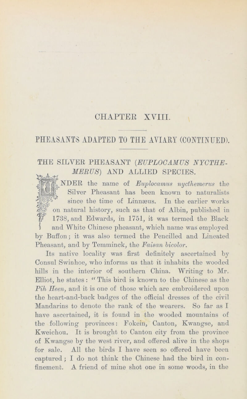 CHAPTER XVIII. PHEASANTS ADAPTED TO THE AVIARY (CONTINUED). THE SILVER PHEASANT (.EUPL0GAMU8 NYGTHE- MEBUS) AND ALLIED SPECIES. NDER the name of Euplocamus nycthemerus the Silver Pheasant has been known to naturalists since the time of Linnaeus. In the earlier works Aw on natural history, such as that of Albin, published in 1738, and Edwards, in 1751, it was termed the Black and White Chinese pheasant, which name was employed by Buffon; it was also termed the Pencilled and Lineated Pheasant, and by Temminck, the Faiscin bicolor. Its native locality was first definitely ascertained by Consul Swinhoe, who informs us that it inhabits the wooded hills in the interior of southern China. Writing to Mr. Elliot, he states : “ This bird is known to the Chinese as the Pih Been, and it is one of those which are embroidered upon the heart-and-back badges of the official dresses of the civil Mandarins to denote the rank of the wearers. So far as I have ascertained, it is found in the wooded mountains of the following provinces: Fokein, Canton, Kwangse, and Kweichou. It is brought to Canton city from the province of Kwangse by the west river, and offered alive in the shops for sale. All the birds I have seen so offered have been captured; I do not think the Chinese had the bird in con- finement. A friend of mine shot one in some woods, in the