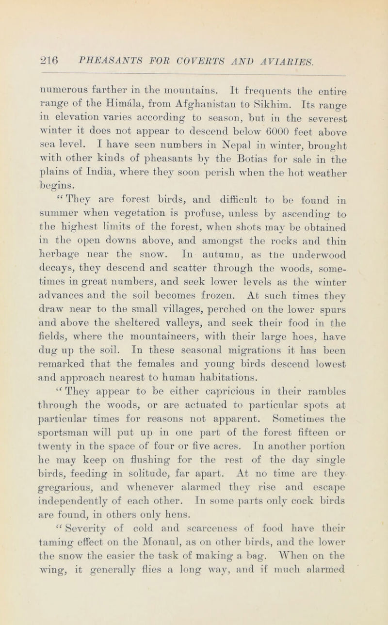 numerous farther in the mountains. It frequents the entire range of the Him ala, from Afghanistan to Sikhim. Its range in elevation varies according to season, but in the severest winter it does not appear to descend below 6000 feet above sea level. I have seen numbers in Nepal in winter, brought with other kinds of pheasants by the Botias for sale in the plains of India, where they soon perish when the hot weather begins. O “ They are forest birds, and difficult to be found in summer when vegetation is profuse, unless by ascending to the highest limits of the forest, when shots may be obtained in the open downs above, and amongst the rocks and thin herbage near the snow. In autumn, as tlie underwood decays, they descend and scatter through the woods, some- times in great numbers, and seek lower levels as the winter advances and the soil becomes frozen. At such times they draw near to the small villages, perched on the lower spurs and above the sheltered valleys, and seek their food in the fields, where the mountaineers, with their large hoes, have dug up the soil. In these seasonal migrations it has been remarked that the females and young birds descend lowest and approach nearest to human habitations. iC They appear to be either capricious in their rambles through the woods, or are actuated to particular spots at particular times for reasons not apparent. Sometimes the sportsman will put up in one part of the forest fifteen or twenty in the space of four or five acres. In another portion he may keep on flushing for the rest of the day single birds, feeding in solitude, far apart. At no time are they gregarious, and whenever alarmed they rise and escape independently of each other. In some parts only cock birds are found, in others only hens. “ Severity of cold and scarceness of food have their taming effect on the Monaul, as on other birds, and the lower the snow the easier the task of making a bag. When on the wing, it generally flies a long way, and if much alarmed