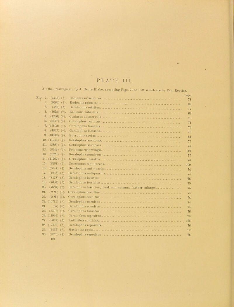 All the drawings aro by J. Henry Blake, excepting Figs. 21 and 22, wliioli are by Paul Koottor. Pago. Fig. 1. (1246) (f). Couiatus eviscerutus 2. (6660) (?). Kndoums robiistus go 3. (482) (f). Gcraloplms retritua yy ^ 4. (4675) (?). Eadomus rolmstua q2 5. (1236) (f). Coiiiatiis ovianoratus <^g 6. (6177) (?). Gcralophua occuitua 7. (13602) (I). Gcralophua laaaatua Y6 8. (4832) (I). Geralophus lassatua 'jq 9. (13632) (^), Eucryptua sectUM 10. (14243) ()f). Gcralophua saxiioau* 75 11. (389.5) (-^). Geralophus saxuosus 75 12. (8942) (J). IMouomorus irviugii jjg 13. (7.520) (?). Goralophus puiuicous 77 11. (11267) (f). Geralophus laaaatua 7(j 15. (828-1) (?). Coccotorus requicacens j09 16. (8017) (f). Ger.alophua autiquariua 74 17. (4918) (f). Geralophus autiquariua 74 18. (8128) (I). Geralopliua lassatua 7g 19. (7686) (?). Goralophus tossicius 75 20. (7686) (^). Geralophus foasiciua; beak aud autemue further oulargod 75 21. (2M) (f), Gcralophua occulti.is 74 22. (2M) (^). Geralophus occuitua 74 23. (10711) (?). Geralophus occiiltus 74 2t. (6.5) (f). Goralophus occuitua 74 25. (3.597) (f). Geralophus hissatus 76 26. (14991) (t). Goralophiia repositus 76 27. (2675) (f). .Vuthrihus aordidus 165 28. (12179) (f). (Joralophus repositus 76 29. (4133) (1). Maateiitcs rupis 12 30. (9273) (t). Geralophus repositus 76 184