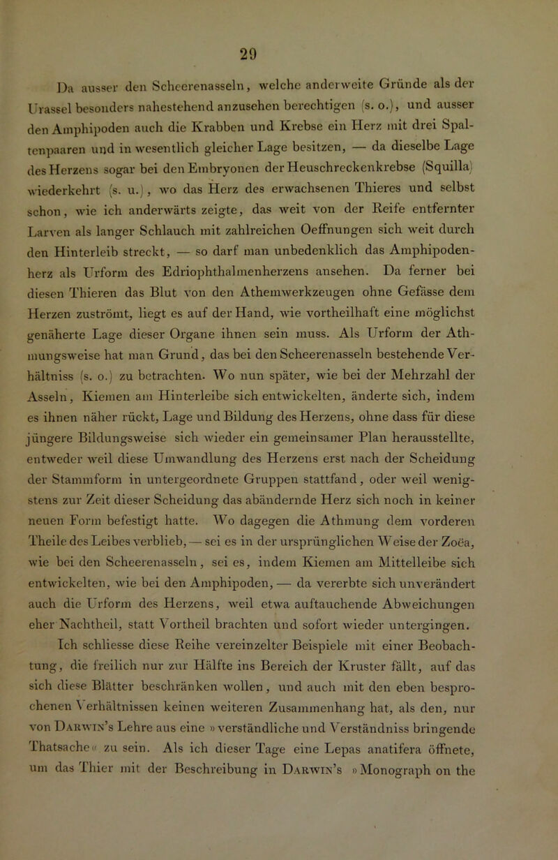 Da ausser den Scheerenasseln, welche anderweite Gründe als der Urassel besonders nahestehend anzusehen berechtigen (s. o.), und ausser den Amphipoden auch die Krabben und Krebse ein Herz mit drei Spal- tenpaaren und in wesentlich gleicher Lage besitzen, — da dieselbe Lage des Herzens sogar bei den Embryonen der Heuschreckenkrebse (Squilla) wiederkehrt (s. u.), wo das Herz des erwachsenen Thieres und selbst schon, wie ich anderwärts zeigte, das Aveit von der Reife entfernter Larven als langer Schlauch mit zahlreichen Oeffnungen sich weit durch den Hinterleib streckt, — so darf man unbedenklich das Amphipoden - herz als Urform des Edriophthalmenherzens ansehen. Da ferner bei diesen Thieren das Blut von den Athemwerkzeugen ohne Gefässe dem Herzen zuströmt, liegt es auf der Hand, wie vortheilhaft eine möglichst genäherte Lage dieser Organe ihnen sein muss. Als Urform der Ath- mungsweise hat man Grund, das bei den Scheerenasseln bestehende Ver- hältniss (s. o.) zu betrachten. Wo nun später, wie bei der Mehrzahl der Asseln, Kiemen am Hinterleibe sich entwickelten, änderte sich, indem es ihnen näher rückt, Lage und Bildung des Herzens, ohne dass für diese jüngere Bildungsweise sich wieder ein gemeinsamer Plan herausstellte, entweder weil diese Umwandlung des Herzens erst nach der Scheidung der Stammform in untergeordnete Gruppen stattfand, oder weil wenig- stens zur Zeit dieser Scheidung das abändernde Herz sich noch in keiner neuen Form befestigt hatte. Wo dagegen die Athmung dem vorderen Theile des Leibes verblieb,— sei es in der ursprünglichen Weise der Zoea, wie bei den Scheerenasseln, sei es, indem Kiemen am Mittelleibe sich entwickelten, wie bei den Amphipoden,— da vererbte sich unverändert auch die Urform des Herzens, weil etwa auftauchende Abweichungen eher Nachtheil, statt Vortheil brachten und sofort wieder untergingen. Ich schliesse diese Reihe vereinzelter Beispiele mit einer Beobach- tung, die freilich nur zur Hälfte ins Bereich der Kruster fällt, auf das sich diese Blätter beschränken wollen, und auch mit den eben bespro- chenen \ erhältnissen keinen weiteren Zusammenhang hat, als den, nur von Darwtn’s Lehre aus eine »verständliche und Verständniss bringende Ihatsachec zu sein. Als ich dieser Tage eine Lepas anatifera öffnete, um das Thier mit der Beschreibung in Daravin’s »Monograph on the