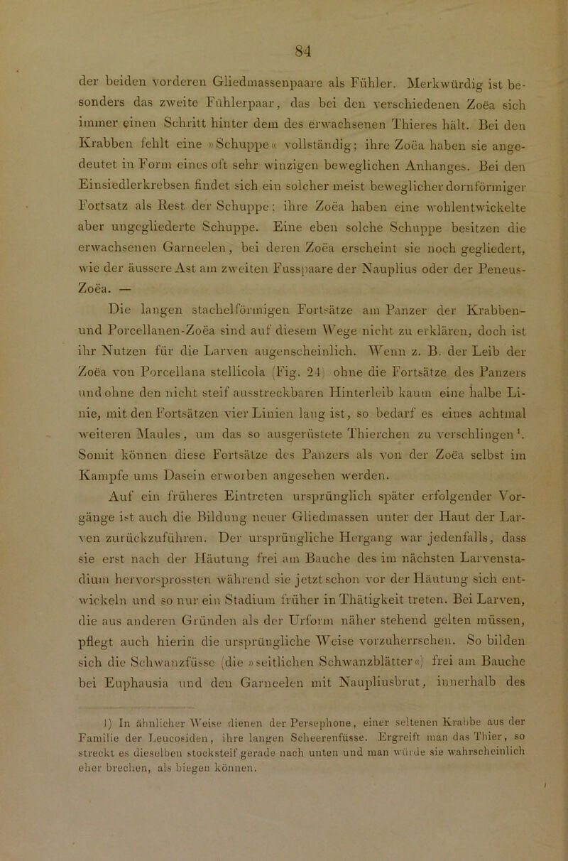 der beiden vorderen Gliedinassenpaare als Fühler. Merkwürdig ist be- sonders das zweite Fühlerpaar, das bei den verschiedenen Zoea sich immer einen Schritt hinter dem des erwachsenen Thieres hält. Bei den Krabben fehlt eine »Schuppe« vollständig; ihre Zoea haben sie ange- deutet in Form einesoft sehr winzigen beweglichen Anhanges. Bei den Einsiedlerkrebsen findet sich ein solcher meist beweglicher dornförmiger 1 ortsatz als Rest der Schuppe: ihre Zoea haben eine wohlentwickelte aber ungegliederte Schuppe. Eine eben solche Schuppe besitzen die erwachsenen Garneelen, bei deren Zoea erscheint sie noch gegliedert, wie der äussere Ast am zweiten Fusspaare der Nanplius oder der Peneus- Zoea. — Die langen stachelförmigen Fortsätze am Panzer der Krabben- und Porcellanen-Zoea sind auf diesem Wege nicht zu erklären, doch ist ihr Nutzen für die Larven augenscheinlich. Wenn z. B. der Leib der Zoea von Porcellana stellicola (Fig. 24 ohne die Fortsätze des Panzers und ohne den nicht steif ausstreckbaren Hinterleib kaum eine halbe Li- nie, mit den Fortsätzen vier Linien lang ist, so bedarf es eines achtmal weiteren Maules, um das so ausgerüstete Thierchen zu verschlingen'. Somit können diese Fortsätze des Panzers als von der Zoea selbst im Kampfe ums Dasein erwoiben angesehen werden. Auf ein früheres Eintreten ursprünglich später erfolgender Vor- gänge ist auch die Bildung neuer Gliedmassen unter der Haut der Lar- ven zurückzuführen. Der ursprüngliche Hergang war jedenfalls, dass sie erst nach der Häutung frei am Bauche des im nächsten Larvensta- dium hervorsprossten während sie jetzt schon vor der Häutung sich ent- wickeln und so nur ein Stadium früher in Thätigkeit treten. Bei Larven, die aus anderen Gründen als der Urform näher stehend gelten müssen, pflegt auch hierin die ursprüngliche Weise vorzuherrschen. So bilden sich die Schwanzfüsse die »seitlichen Schwanzblätter«) frei am Bauche bei Euphausia und den Garneelen mit Naupliusbrut, innerhalb des i) In ähnlicher Weise dienen der Persephone, einer seltenen Krabbe aus der Familie der Leucosiden, ihre langen Scheerenfüsse. Ergreift man das Thier, so streckt es dieselben stocksteif gerade nach unten und man würde sie wahrscheinlich eher brechen, als biegen können. /