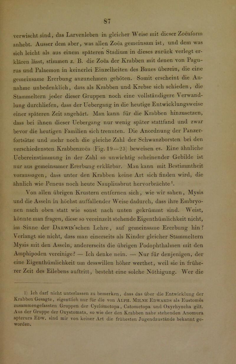 verwischt sind, das Larvenleben in gleicher Weise mit dieser Zoeaiorm anhebt. Ausser dem aber, was allen Zoea gemeinsam ist, und dem was sich leicht als aus einem späteren Stadium in dieses zurück verlegt er- klären lässt, stimmen z. B. die Zoea der Krabben mit denen von Pagu- rus und Palaemon in keinerlei Einzelheiten des Baues überein, die eine gemeinsame Ererbung anzunehmen geböten. Somit erscheint die An- nahme unbedenklich, dass als Krabben und Krebse sich schieden, die Stammeltern jeder dieser Gruppen noch eine vollständigere Verwand- lung durchliefen, dass derUebergang in die heutige Entwicklungsweise einer späteren Zeit angehört. Man kann für die Krabben hinzusetzen, dass bei ihnen dieser Uebergang nur wenig später stattland und zwar bevor die heutigen Familien sichtrennten. Die Anordnung der Panzer- fortsätze und mehr noch die gleiche Zahl der Schwanzborsten bei den verschiedensten Krabbenzoea (Fig. 19 — 23) beweisen es. Eine ähnliche Uebereinstimmung in der Zahl so unwichtig scheinender Gebilde ist nur aus gemeinsamer Ererbung erklärbar. Man kann mit Bestimmtheit Voraussagen, dass unter den Krabben keine Art sich finden wird, die ähnlich wie Peneus noch heute Naupliusbrut hervorbrächte1. Von allen übrigen Krustern entfernen sich, wie wir sahen, Mysis und die Asseln in höchst auffallender Weise dadurch, dass ihre Embryo- nen nach oben statt wie sonst nach unten gekrümmt sind. Weist, könnte man fragen, diese so vereinzelt stehende Eigenthümlichkeit nicht, im Sinne der DARwiVschen Lehre, auf gemeinsame Ererbung hin ? Verlangt sie nicht, dass man einerseits als Kinder gleicher Stamnieltern Mysis mit den Asseln, andererseits die übrigen Podophthalmen mit den Amphipoden vereinige? — Ich denke nein. — Nur für denjenigen, der eine Eigenthümlichkeit um desswillen höher werthet, weil sie in frühe- rer Zeit des Eilebens auftritt, besteht eine solche Nöthigung. Wer die 1 Ich darf nicht unterlassen zu bemerken, dass das über die Entwicklung der Krabben Gesagte, eigentlich nur für die von Alph. Milne Edwards als Eustomes zusammengefassten Gruppen der Cyclometopa, Catometopa und Oxyrhyncha gilt. Aus der Gruppe der Oxystomata, so wie der den Krabben nahe stehenden Anomura apterura Edw. sind mir von keiner Art die frühesten Jugendzustände bekannt ge- worden .