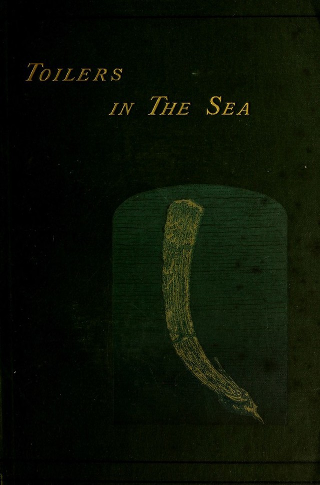 No text description is available for this image