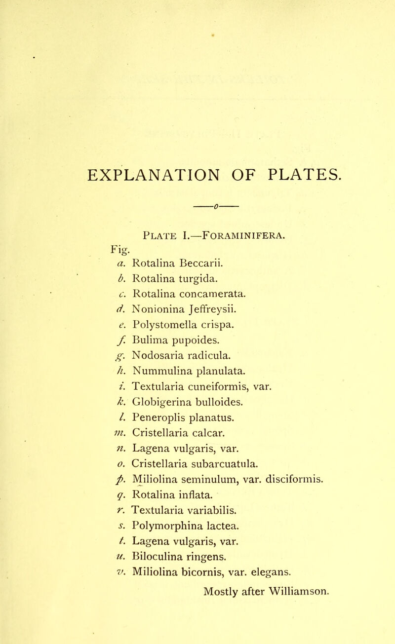 EXPLANATION OF PLATES. Plate I.—Foraminifera. Fig. a. Rotalina Beccarii. b. Rotalina turgida. c. Rotalina concamerata. d. Nonionina Jeffreysii. e. Polystomella crispa. f. Bulima pupoides. g. Nodosaria radicula. h. Nummulina planulata. i. Textularia cuneiformis, var. k. Globigerina bulloides. /. Peneroplis planatus. m. Cristellaria calcar. n. Lagena vulgaris, var. o. Cristellaria subarcuatula. p. Miliolina seminulum, var. disciformis. q. Rotalina inflata. r. Textularia variabilis. s. Polymorphina lactea. t. Lagena vulgaris, var. u. Biloculina ringens. v. Miliolina bicornis, var. elegans. Mostly after Williamson.