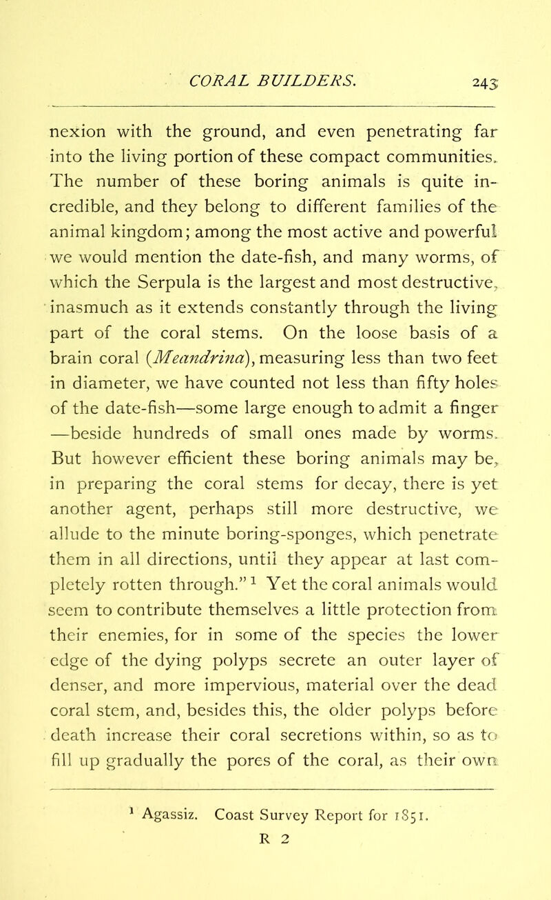 nexion with the ground, and even penetrating far into the living portion of these compact communities. The number of these boring animals is quite in- credible, and they belong to different families of the animal kingdom; among the most active and powerful we would mention the date-fish, and many worms, of which the Serpula is the largest and most destructive, inasmuch as it extends constantly through the living part of the coral stems. On the loose basis of a brain coral (.Meandrina), measuring less than two feet in diameter, we have counted not less than fifty holes of the date-fish—some large enough to admit a finger —beside hundreds of small ones made by worms. But however efficient these boring animals may be, in preparing the coral stems for decay, there is yet another agent, perhaps still more destructive, we allude to the minute boring-sponges, which penetrate them in all directions, until they appear at last com- pletely rotten through.”1 Yet the coral animals would seem to contribute themselves a little protection from, their enemies, for in some of the species the lower- edge of the dying polyps secrete an outer layer of denser, and more impervious, material over the dead coral stem, and, besides this, the older polyps before death increase their coral secretions within, so as to fill up gradually the pores of the coral, as their own 1 Agassiz. Coast Survey Report for 1851. R 2