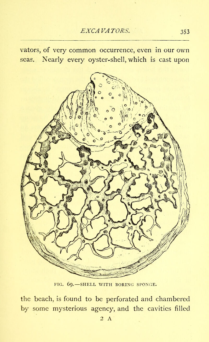 vators, of very common occurrence, even in our own seas. Nearly every oyster-shell, which is cast upon the beach, is found to be perforated and chambered by some mysterious agency, and the cavities filled 2 A