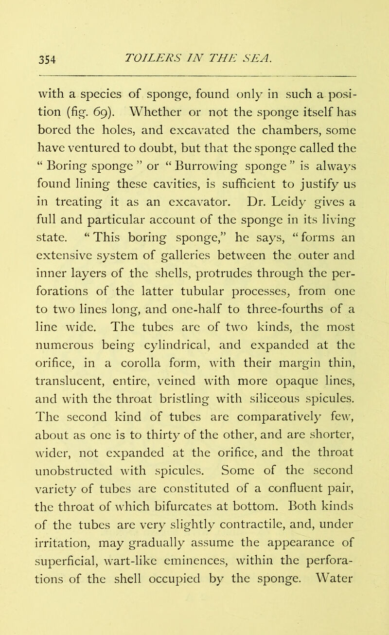 with a species of sponge, found only in such a posi- tion (fig. 69). Whether or not the sponge itself has bored the holes, and excavated the chambers, some have ventured to doubt, but that the sponge called the “ Boring sponge ” or “ Burrowing sponge ” is always found lining these cavities, is sufficient to justify us in treating it as an excavator. Dr. Leidy gives a full and particular account of the sponge in its living state. “ This boring sponge,” he says, “ forms an extensive system of galleries between the outer and inner layers of the shells, protrudes through the per- forations of the latter tubular processes, from one to two lines long, and one-half to three-fourths of a line wide. The tubes are of two kinds, the most numerous being cylindrical, and expanded at the orifice, in a corolla form, with their margin thin, translucent, entire, veined with more opaque lines, and with the throat bristling with siliceous spicules. The second kind of tubes are comparatively few, about as one is to thirty of the other, and are shorter, wider, not expanded at the orifice, and the throat unobstructed with spicules. Some of the second variety of tubes are constituted of a confluent pair, the throat of which bifurcates at bottom. Both kinds of the tubes are very slightly contractile, and, under irritation, may gradually assume the appearance of superficial, wart-like eminences, within the perfora- tions of the shell occupied by the sponge. Water