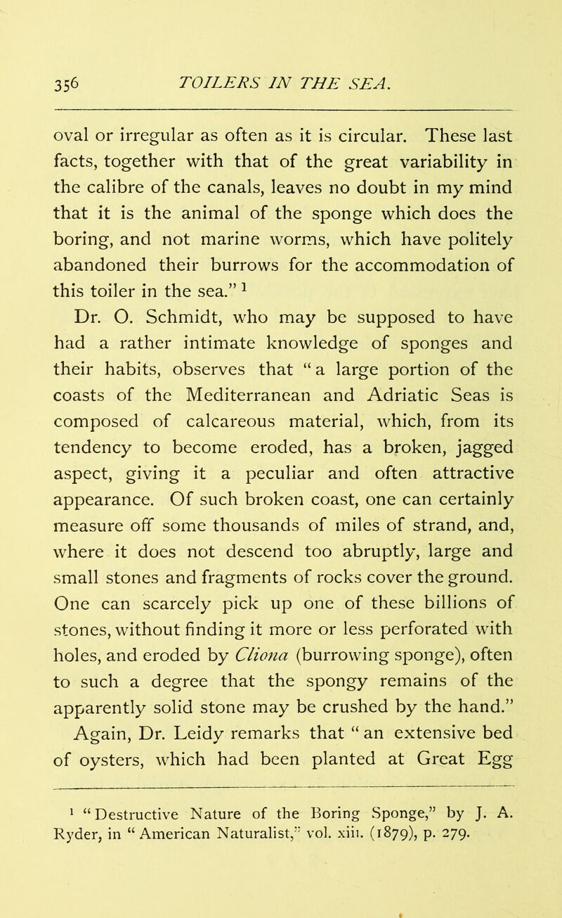 oval or irregular as often as it is circular. These last facts, together with that of the great variability in the calibre of the canals, leaves no doubt in my mind that it is the animal of the sponge which does the boring, and not marine worms, which have politely abandoned their burrows for the accommodation of this toiler in the sea.” 1 Dr. O. Schmidt, who may be supposed to have had a rather intimate knowledge of sponges and their habits, observes that “ a large portion of the coasts of the Mediterranean and Adriatic Seas is composed of calcareous material, which, from its tendency to become eroded, has a broken, jagged aspect, giving it a peculiar and often attractive appearance. Of such broken coast, one can certainly measure off some thousands of miles of strand, and, where it does not descend too abruptly, large and small stones and fragments of rocks cover the ground. One can scarcely pick up one of these billions of stones, without finding it more or less perforated with holes, and eroded by Cliona (burrowing sponge), often to such a degree that the spongy remains of the apparently solid stone may be crushed by the hand.” Again, Dr. Leidy remarks that “ an extensive bed of oysters, which had been planted at Great Egg 1 “Destructive Nature of the Boring Sponge,” by J. A. Ryder, in “American Naturalist,” vol. xiii. (1879), p. 279.