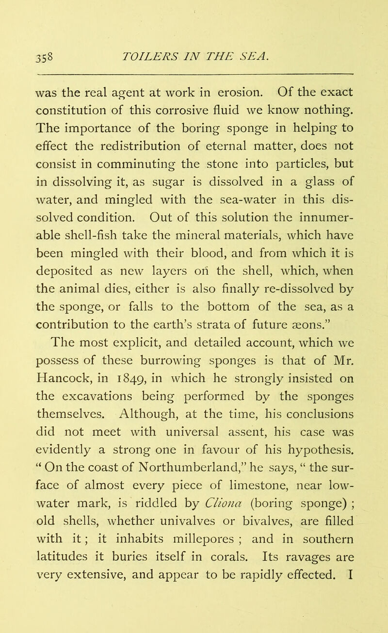 was the real agent at work in erosion. Of the exact constitution of this corrosive fluid we know nothing. The importance of the boring sponge in helping to effect the redistribution of eternal matter, does not consist in comminuting the stone into particles, but in dissolving it, as sugar is dissolved in a glass of water, and mingled with the sea-water in this dis- solved condition. Out of this solution the innumer- able shell-fish take the mineral materials, which have been mingled with their blood, and from which it is deposited as new layers on the shell, which, when the animal dies, either is also finally re-dissolved by the sponge, or falls to the bottom of the sea, as a contribution to the earth’s strata of future aeons.” The most explicit, and detailed account, which we possess of these burrowing sponges is that of Mr. Hancock, in 1849, 'm which he strongly insisted on the excavations being performed by the sponges themselves. Although, at the time, his conclusions did not meet with universal assent, his case was evidently a strong one in favour of his hypothesis. “ On the coast of Northumberland,” he says, “ the sur- face of almost every piece of limestone, near low- water mark, is riddled by Cliona (boring sponge) ; old shells, whether univalves or bivalves, are filled with it; it inhabits millepores ; and in southern latitudes it buries itself in corals. Its ravages are very extensive, and appear to be rapidly effected. I