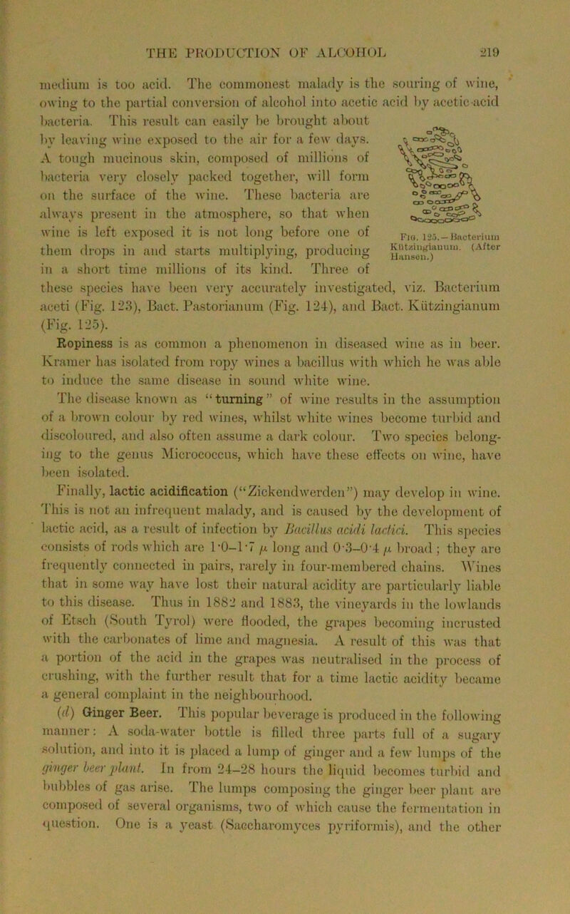 inetliuni is too acid. The connnoiiest malady is the souring of wine, owing to the partial conversion of alcohol into acetic acid by acetic-acid Itacteria. This resnlt can easily he brought about by leaving wine exposed to the air for a few days. A tongh mucinous skin, composed of millions of bacteria very closely packed together, will form on the surface of the wine. These bacteria are always present in the atmo,sphere, so that when wine is left exp(jsed it is not long before one of them drops in and starts mnltiplying, producing in a short time millions of its kind. Three of these species have been very accurately investigated, viz. Hacterinm aceti (Fig. 1-3), Jket. Pastoriannm (Fig. 124), and Bact. Kiitzingianum (Fig. 12.0). Ropiness is as common a phenomenon in di.seased wine as in beer. Kramer has isolated from ropy wines a bacillus with which he was able to induce the same disease in sound white Avine. The disease known as “turning” of Avine results in the assumption of a broAvn coloui- by red wines, AA’hilst Avhite Aviiics become turbid and discoloured, and also often assume a dark colour. Two species belong- ing to the genus Micrococcus, Avhich have these effects on Avine, have been isolated. Finally, lactic acidification (“ZickendAverden”) may develop in wine. 'I'liis is not an infrerpient malady, and is caused by the development of lactic acid, as a residt of infection by Bacillus acidi lurtid. I'his sj)ecies <M)ii.sists of rods Avhich are I’O—1'7 fj. long and 0’3—0‘4 /x broad ; they am frequently connected in pairs, rarely in fonr-membered chains. 'NVines that in some Avay have lost their natural acidit}'’ are particularly liable to this di.sease. riius in 1882 and 1883, the A’ineyards in the loAvlauds of Ftsch (.South lyrol) Avere Hooded, the grapes becoming incrusted Avith the carbonates of lime and magnesia. A result of this Avas that a portion of the acid in the grapes Avas neutralised in the process of crushing, with the further result that for a time lactic acidity became a general complaint in the neighbourhood. (il) Ginger Beer. This po])idar bcA'crage is pi-oduced in the folloAving manner: A soda-Avatcr Imttle is filled three parts full of a sumirv solution, and into it is placed a lump of ginger and a fcAv lumps of the f/inger beer jilant. In from 24—28 hours the liquid becomes turbid and bubbles of gas ari.se. The lumps composing the ginger beer plant are composed of scA-eral organisms, tAvo of Avhich cause the fermentnti<m in <luestion. One is a yeast (.Saccharomyces pyriformis), and the other Fio. 12.A. —naoteriuii) Klitziiiffiauuiii, (After iianseii.)