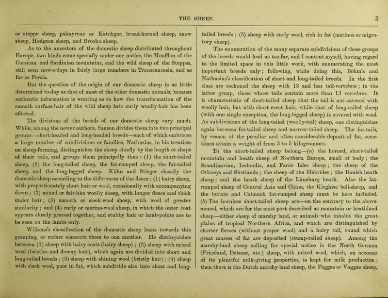 or steppe sheep, palmyrene or Katchgar, broad-horned sheep, snow sheep, Hodgson sheep, and Brooko sheep. As to the ancestors of the domestic sheep distributed throughout Europe, two kinds come specially under our notice, the Moufflon of the Corsican and Sardinian mountains, and the wild sheep of the Steppes, still seen now-a-days in fairly large numbers in Transcaucasia, and as far as Persia. But the question of the origin of our domestic sheep is as little determined to-day as that of most of the other domestic animals, because authentic information is wanting as to how the transformation of the smooth surface-hair of the wild sheep into curly woolly-hair has been effected. The divisions of the breeds of our domestic sheep vary much. While, among the newer authors, Sanson divides them into two principal groups—short-headed and long-headed breeds—each of which embraces a large number of subdivisions or families, Nathusius, in his treatises on sheep-farming, distinguishes the sheep chiefly by the length or shape of their tails, and groups them principally thus : (1) the short-tailed sheep, (2) the long-tailed sheep, the fat-rumped sheep, the fat-tailed sheep, and the long-legged sheep. Kuhn and Stieger classify the domestic sheep according to the differences of the fleece : (1) hairy sheep, with proportionately short hair or wool, occasionally with accompanying down; (2) mixed or felt-like woolly sheep, with longer fleece and thick tfnder hair; (3) smooth or sleek-wool sheep, with wool of greater similarity ; and (4) curly or merino-wool sheep, in which the outer coat appears closely pressed together, and stubby hair or lamb-points are to be seen on the lambs only. Wilkens’s classification of the domestic sheep leans towards this grouping, or rather connects them to one another. He distinguishes between (1) sheep with hairy coats (hairy sheep) ; (2) sheep with mixed wool (bristles and downy hair), which again are divided into short and long-tailed breeds ; (3) sheep with shining wool (bristly hair) ; (4) sheep with sleek wool, poor in fat, which subdivide also into short and long- tailed breeds ; (5) sheep with curly wool, rich in fat (merinos or migra- tory sheep). The enumeration of the many separate subdivisions of these groups of the breeds would lead us too far, and I content myself, having regard to the limited spaoe in this little work, with enumerating the most important breeds only; following, while doing this, Bohm’s and Nathusius’s classification of short and long-tailed breeds. In the first class are reckoned the sheep with 13 and less tail-vertebrse ; in the latter group, those whose tails contain more than 13 vertebra. It is characteristic of short-tailed sheep that the tail is not covered with woolly hair, but with short erect hair, while that of long-tailed sheep (with one single exception, the long-legged sheep) is covered with wooL As subdivisions of the long-tailed (woolly-tail) sheep, one distinguishes again between fat-tailed sheep and narrow-tailed sheep. The fat-tails, by reason of the peculiar and often considerable deposit of fat, some- times attain a weight of from 3 to 5 kilogrammes. To the short-tailed sheep belong—(a) the horned, short-tailed mountain and heath sheep of Northern Europe, small of body ; the Scandinavian, Icelandic, and Faroe Isles sheep; the sheep of the Orkneys and Shetlands ; the sheep of the Hebrides ; the Danish heath sheep; and the heath sheep of the Liineburg heath. Also the fat- rumped sheep of Central Asia and China, the Kirghise bell-sheep, and the burate and Calmuck fat-rumped sheep must be here included. (b) The hornless short-tailed sheep are—on the contrary to the above- named, which are for the most part described as mountain or heathland sheep—either sheep of marshy land, or animals who inhabit the great plains of tropical Northern Africa, and which are distinguished by shorter fleeces (without proper wool) and a hairy tail, round which great masses of fat are deposited (stump-tailed sheep). Among the marshy-land sheep calling for special notice is the North German (Friesland, Detmar, etc.) sheep, with mixed wool, which, on account of its plentiful milk-giving properties, is kept for milk production ; then there is the Dutch marshy-land sheep, the Faggas or Yaggas sheep,