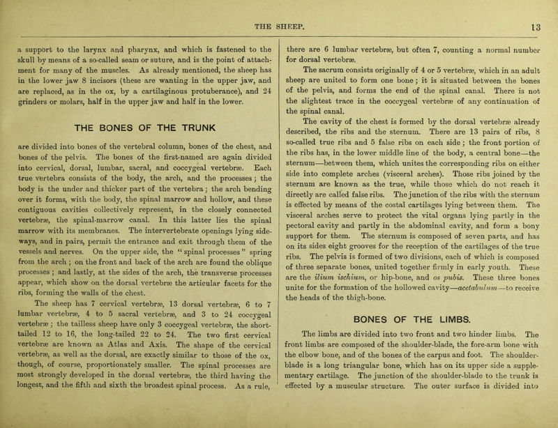 a support to the larynx and pharynx, and which is fastened to the skull by means of a so-called seam or suture, and is the point of attach: ment for many of the muscles. As already mentioned, the sheep has in the lower jaw 8 incisors (these are wanting in the upper jaw, and are replaced, as in the ox, by a cartilaginous protuberance), and 24 grinders or molars, half in the upper jaw and half in the lower. THE BONES OF THE TRUNK are divided into bones of the vertebral column, bones of the chest, and bones of the pelvis. The bones of the first-named are again divided into cervical, dorsal, lumbar, sacral, and coccygeal vertebrae. Each true Vertebra consists of the body, the arch, and the processes ; the body is the under and thicker part of the vertebra; the arch bending over it forms, with the body, the spinal marrow and hollow, and these contiguous cavities collectively represent, in the closely connected vertebrae, the spinal-marrow canal. In this latter lies the spinal marrow with its membranes. The intervertebrate openings lying side- ways, and in pairs, permit the entrance and exit through them of the vessels and nerves. On the upper side, the “ spinal processes ” spring from the arch ; on the front and back of the arch are found the oblique processes ; and lastly, at the sides of the arch, the transverse processes appear, which show on the dorsal vertebrae the articular facets for the ribs, forming the walls of the chest. The sheep has 7 cervical vertebrae, 13 dorsal vertebrae, 6 to 7 lumbar vertebrae, 4 to 5 sacral vertebrae, and 3 to 24 coccygeal vertebrae; the tailless sheep have only 3 coccygeal vertebrae, the short- tailed 12 to 16, the long-tailed 22 to 24. The two first cervical vertebrae are known as Atlas and Axis. The shape of the cervical vertebrae, as well as the dorsal, are exactly similar to those of the ox, though, of course, proportionately smaller. The spinal processes are most strongly developed in the dorsal vertebrae, the third having the longest, and the fifth and sixth the broadest spinal process. As a rule, there are 6 lumbar vertebrae, but often 7, counting a normal number for dorsal vertebrae. The sacrum consists originally of 4 or 5 vertebrae, which in an adult sheep are united to form one bone; it is situated between the bones of the pelvis, and forms the end of the spinal canal. There is not the slightest trace in the coccygeal vertebrae of any continuation of the spinal canal. The cavity of the chest is formed by the dorsal vertebrae already described, the ribs and the sternum. There are 13 pairs of ribs, 8 so-called true ribs and 5 false ribs on each side; the front portion of the ribs has, in the lower middle line of the body, a central bone—-the sternum—between them, which unites the corresponding ribs on either side into complete arches (visceral arches). Those ribs joined by the sternum are known as the true, while those which do not reach it directly are called false ribs. The junction of the ribs with the sternum is effected by means of the costal cartilages lying between them. The visceral arches serve to protect the vital organs lying partly in the pectoral cavity and partly in the abdominal cavity, and form a bony support for them. The sternum is composed of seven parts, and has on its sides eight grooves for the reception of the cartilages of the true ribs. The pelvis is formed of two divisions, each of which is composed of three separate bones, united together firmly in early youth. These are the ilium ischium, or hip-bone, and os pubis. These three bones unite for the formation of the hollowed cavity—acetabulum—to receive the heads of the thigh-bone. BONES OF THE LIMBS. The limbs are divided into two front and two hinder limbs. The front limbs are composed of the shoulder-blade, the fore-arm bone with the elbow bone, and of the bones of the carpus and foot. The shoulder- blade is a long triangular bone, which has on its upper side a supple- mentary cartilage. The junction of the shoulder-blade to the trunk is effected by a muscular structure. The outer surface is divided into