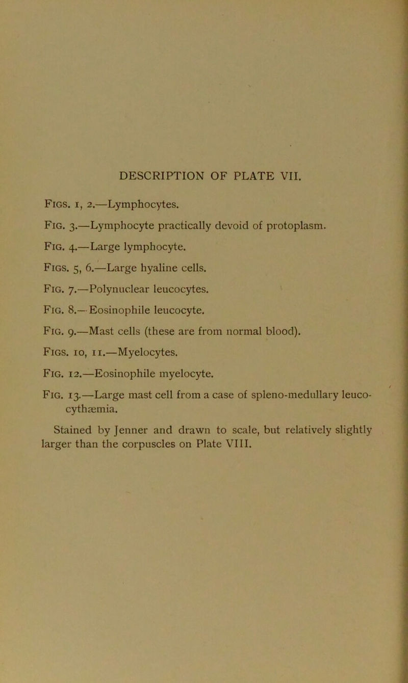 Figs, i, 2.—Lymphocytes. Fig. 3.—Lymphocyte practically devoid of protoplasm. Fig. 4.—Large lymphocyte. Figs. 5, 6.—Large hyaline cells. Fig. 7.—Polynuclear leucocytes. Fig. 8.— Eosinophile leucocyte. Fig. 9.—Mast cells (these are from normal blood). Figs. 10, 11.—Myelocytes. Fig. 12.—Eosinophile myelocyte. Fig. 13.—Large mast cell from a case of spleno-medullary leuco- cythaemia. Stained by Jenner and drawn to scale, but relatively slightly larger than the corpuscles on Plate VIII.
