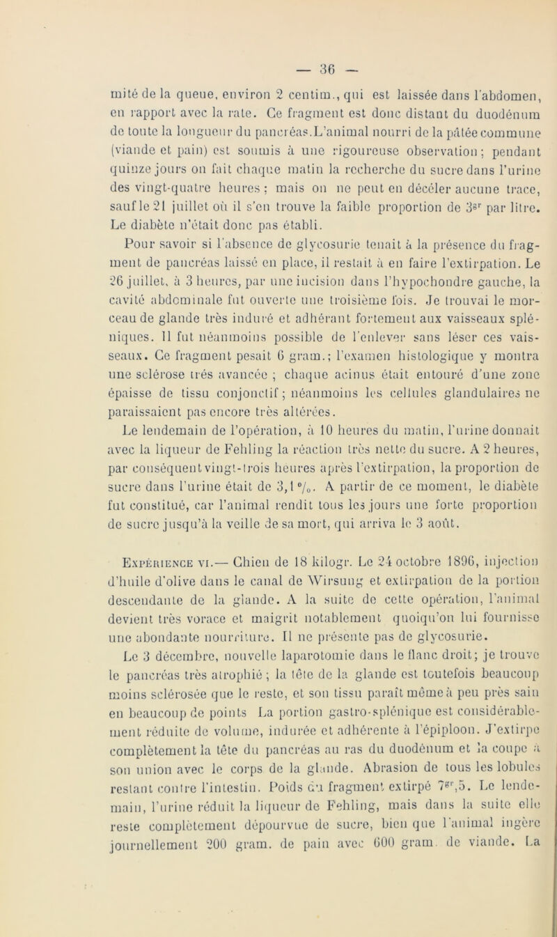 mité de la queue, environ 2 centira., qui est laissée dans l’abdomen, en i-apport avec la rate. Ce fragment est donc distant du duodénum de toute la longueur du pancréas.L’animal nourri de la pâtée commune (viande et pain) est soumis à une rigoureuse observation; pendant quinze jours on fait chaque matin la recherche du sucre dans Turine des vingt-quatre heures ; mais on ne peut en décéler aucune ti-ace, sauf le 21 juillet oii il s’en trouve la faible proportion de par litre. Le diabète n’était donc pas établi. Pour savoir si l’abseuce de glycosurie tenait à la présence du fjag- ment de pancréas laissé en place, il restait à en faire l’extirpation. Le 26 juillet, à 3 heures, par une incision dans l’hypochondre gauche, la cavité abdominale fut ouverte une troisième fois. Je trouvai le mor- ceau de glande très induré et adhérant fortement aux vaisseaux splé- niques. 11 fut néanmoins possible de l'enlever sans léser ces vais- seaux. Ce fragment pesait G gram.; l’examen histologique y montra une sclérose très avancée ; cluujue acinus était entouré d’une zone épaisse de tissu conjonctif ; néanmoins les cellules glandulaires ne paraissaient pas encore très altérées. Le lendemain de l’opération, à 10 heures du matin, rurine donnait avec la liqueur de Fehling la réaction très nette du sucre. A 2 heures, par conséquent vingt-trois heures après l'extirpation, la proportion de sucre dans rurine était de 3,1 7o- A partir de ce moment, le diabète fut constitué, car l’animal rendit tous les jours une forte proportion de sucre jusqu’à la veille de sa mort, qui arriva U) 3 août. Expéiuence VI.— Chien de 18 kilogr. Le 24 octobre 1896, injection d’huile d’olive dans le canal de Wirsuug et extirpation de la portion descendante de la glande. A la suite de cette opération, l’animal devient très vorace et maigrit notablement quoiqu’on lui fournisse une abondante nourriture. Il ue pi'ésente pas do glycosurie. Le 3 décembre, nouvelle laparotomie dans le liane droit; je trouve le pancréas très atrophié; la léte de la glande est toutefois beaucoup moins sclérosée que le reste, et son tissu paraît même à peu près sain en beaucoup de points La portion gastro-splénique est considérable- ment réduite de volume, indurée et adhérente à l’épiploon. J’extirpe complètement la tête du pancréas au ras du duodénum et la coupe à son union avec le corps de la gUmde. Abrasion de tous les lobules restant contre l’intestin. Poids du fragment extirpé 7»'‘,5. Le lende- main, l’iirine réduit la liijueur de Fehling, mais dans la suite elle reste complètement dépourvue de sucre, bien que 1 animal ingère journellement 2ü0 gram. de pain avec 600 gram. de viande. La