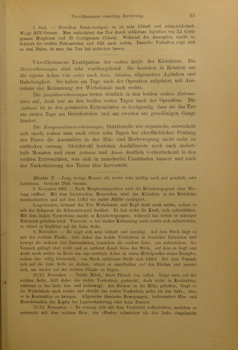 2. Juni. — Dieselben Erscheinungen; es ist sehr lebhaft und schmeichlerisch. Wiegt 3070 Gramm. Man narkotisiert das Tier durch subkutane Injektion von 2,5 Genti- gramm Morphium und 30 Centigramm Chloral. Während der Absorption wankt es, flektiert die rechten Extremitäten und fällt nach rechts. Dasselbe Verhalten zeigt sich zu drei Malen, da man das Tier hat aufstehen lassen. Unvollkommene Exstirpation der rechten Ecilfte des Kleinhirns. Die Bei%&rs6heinungen sind sehr vorübergehend. . Sie bestehen in Rotation um die eigene Achse von rechts nach links, Schielen, allgemeiner Agitation und Ruhelosigkeit. Sie haben am Tage nach der Operation auf gehört, mit Aus- nahme der Krümmung der Wirbelsäule nach rechts. Die Ausfallserscheinungen treten deutlich in den beiden rechten Extremi- täten auf, doch nur an den beiden ersten Tagen nach der Operation. Die Asthenie ist in den genannten Extremitäten so hochgradig, dass sie das Tier am ersten Tage am Geradestehen und am zweiten am geradlinigen Gange hindert. Die Kompensaiimserscheinungen, funktionelle wie organische, entwickeln sich rasch, sodass man nach circa zehn Tagen bei oberflächlicher Prüfung des Tieres die Anomalien in der Hin- und Herbewegung nicht mehr zu entdecken vermag. Gleichwohl bestehen Ausfallsreste noch nach andert- halb Monaten und zwar Asthenie und Atonie deutlich vorherrschend in den rechten Extremitäten, was sich in mancherlei Umständen äussert und nach der Karkotisierung des Tieres klar hervortritt. Hündin N. — Jung, wenige Monate alt, weder sehr kräftig noch gut genährt; sehr furchtsam. Gewicht 2845 Gramm. 8. November 1883. — Nach Morphiuminjektion wird die Kleinhirngegend ohne Blu- tung eröffnet. Mit dem GRÄFE’schen Messerchen wird das Kleinhirn in der Mittellinie durchschnitten und mit dem Löffel die rechte Hälfte exstirpiert. Losgebunden, krümmt das Tier Wirbelsäule und Kopf stark nach rechts, sodass es mit der Schnauze die Schwanzwurzel berührt. Es hat nicht die Kraft, sich aufzurichten. Mit dem linken Vorderbeine macht es Kreisbewegungen, während das rechte in massiger Extension gehalten wird. Versucht es bei starker Krümmung nach rechts sich aufzurichten, so. stürzt es kopfüber auf die linke Seite. 9. November. — Es zeigt sich sehr lebhaft und unruhig. Auf dem Stroh liegt es mit der rechten Flanke, hält dabei das rechte Vorderbein in tonischer Extension und bewegt die anderen drei Extremitäten, besonders die vordere linke, um aufzustehen; der Versuch gelingt aber nicht und es entfernt damit bloss das Stroh, auf dem es liegt und dreht nach rechts im Kreis um eine vertikale Achse in einem Mittelpunkte seines Rumpfes, sodass eine völlig kreisrunde, von Stroh entblösste Stelle sich bildet. Bei dem Versuch sich auf die linke Seite zu drehen, stürzt es unmittelbar auf den Rücken und wendet sich, um wieder auf der rechten Eianke zu liegen. 10. /12. November. — Trinkt Milch, frisst Fleisch von selbst. Liegt stets auf der rechten Seite, hält dabei das rechte Vorderbein gestreckt, doch nicht in Kontraktur, während es das linke hin- und herbewegt. Am Rücken in die Höhe gehoben, biegt es die Wirbelsäule nach rechts und streckt das rechte Vorderbein mehr als das linke, ohne es in Kontraktur zu bringen. Allgemeine klonische Bewegungen, insbesondere Hin- und Herschwanken des Kopfes bei Lageveränderung oder beim Fressen. 13./14. November. — Es vermag sich mit dem Vorderteil aufzurichten, nachdem es mehrmals mit dem rechten Bein, das offenbar schwächer als das linke, eingeknickt