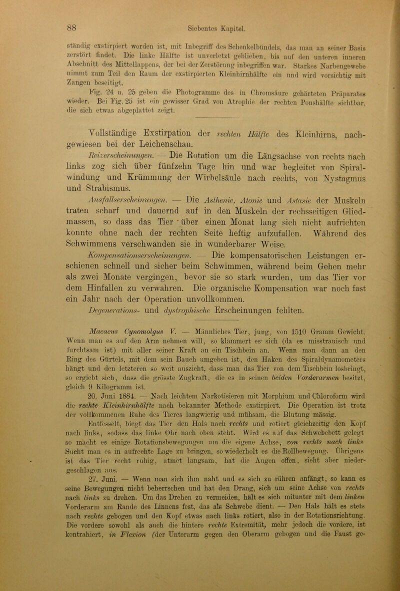 ständig exstirpiert worden ist, mit Inbegriff des Sclienkelbündels, das man an seiner Basis zerstört findet. Die linke Hälfte ist unverletzt geblieben, bis auf den unteren inneren Abschnitt des Mittellappens, der bei der Zerstörung inbegriffen war. Starkes Narbengewebe nimmt zum Teil den Raum der exstirpierten Kleinhirnhälfte ein und wird vorsichtig mit Zangen beseitigt. Big. 24 u. 25 geben die Photogramme des in Chromsäure gehärteten Präparates wieder. Bei Pig. 25 ist ein gewisser Grad von Atrophie der rechten Ponshälfte sichtbar, die sich etwas abgeplattet zeigt. Vollständige Exstirpation der rechten Hälfte des Kleinhirns, nach- gewiesen bei der Leichenschau. Reizersclieinungen. — Die Rotation um die Längsachse von rechts nach links zog sich über fünfzehn Tage hin und war begleitet von Spiral- windung und Krümmung der Wirbelsäule nach rechts, von Nystagmus und Strabismus. Ausfallserscheinungen. — Die Asthenie, Atonie und Astasie der Muskeln traten scharf und dauernd auf in den Muskeln der rechsseitigen Glied- massen, so dass das Tier ' über einen Monat lang sich nicht aufrichten konnte ohne nach der rechten Seite heftig aufzufallen. Während des Schwimmens verschwanden sie in wunderbarer Weise. Kornpensationserscheiniingen. — Die kompensatorischen Leistungen er- schienen schnell und sicher beim Schwimmen, während beim Gehen mehr als zwei Monate vergingen, bevor sie so stark wurden, um das Tier vor dem Hinfallen zu verwahren. Die organische Kompensation war noch fast ein Jahr nach der Operation unvollkommen. Degenerations- und dystrophische Erscheinungen fehlten. Macacus Cynomolgus V. — Männliches Tier, jung, von 1510 Gramm Gewicht. Wenn man es auf den Arm nehmen will, so klammert es' sich (da es misstrauisch und furchtsam ist) mit aller seiner Kraft an ein Tischbein an. Wenn man dann an den Ring des Gürtels, mit dem sein Bauch umgeben ist, den Haken des Spiraldynamometers hängt und den letzteren so weit auszieht, dass man das Tier von dem Tischbein losbringt, so ergiebt sich, dass die grösste Zugkraft, die es in seinen beiden Vorderarmen besitzt, gleich 9 Kilogramm ist. 20. Juni 1884. — Nach leichtem Narkotisieren mit Morphium und Chloroform wird die rechte Kleinhirnhälfte nach bekannter Methode exstirpiert. Die Operation ist trotz der vollkommenen Ruhe des Tieres langwierig und mühsam, die Blutung massig. Entfesselt, biegt das Tier den Hals nach rechts und rotiert gleichzeitig den Kopf nach links, sodass das linke Ohr nach oben steht. Wird es auf das Schwebebett gelegt so macht es einige Rotationsbewegungen um die eigene Achse, von rechts nach links Sucht man es in aufrechte Lage zu bringen, so wiederholt es die Rollbewegung. Übrigens ist das Tier recht ruhig, atmet langsam, hat die Augen offen, sieht aber nieder- geschlagen aus. 27. Juni. — Wenn man sich ihm naht und es sich zu rühren anfängt, so kann es seine Bewegungen nicht beherrschen und hat den Drang, sich um seine Achse von rechts nach links zu drehen. Um das Drehen zu vermeiden, hält es sich mitunter mit dem linken Vorderarm am Rande des Linnens fest, das als Schwebe dient. — Den Hals hält es stets nach rechts gebogen und den Kopf etwas nach links rotiert, also in der Rotationsrichtung. Die vordere sowohl als auch die hintere rechte Extremität, mehr jedoch die vordere, ist kontrahiert, in Flexion (der Unterarm gegen den Oberarm gebogen und die Faust ge-