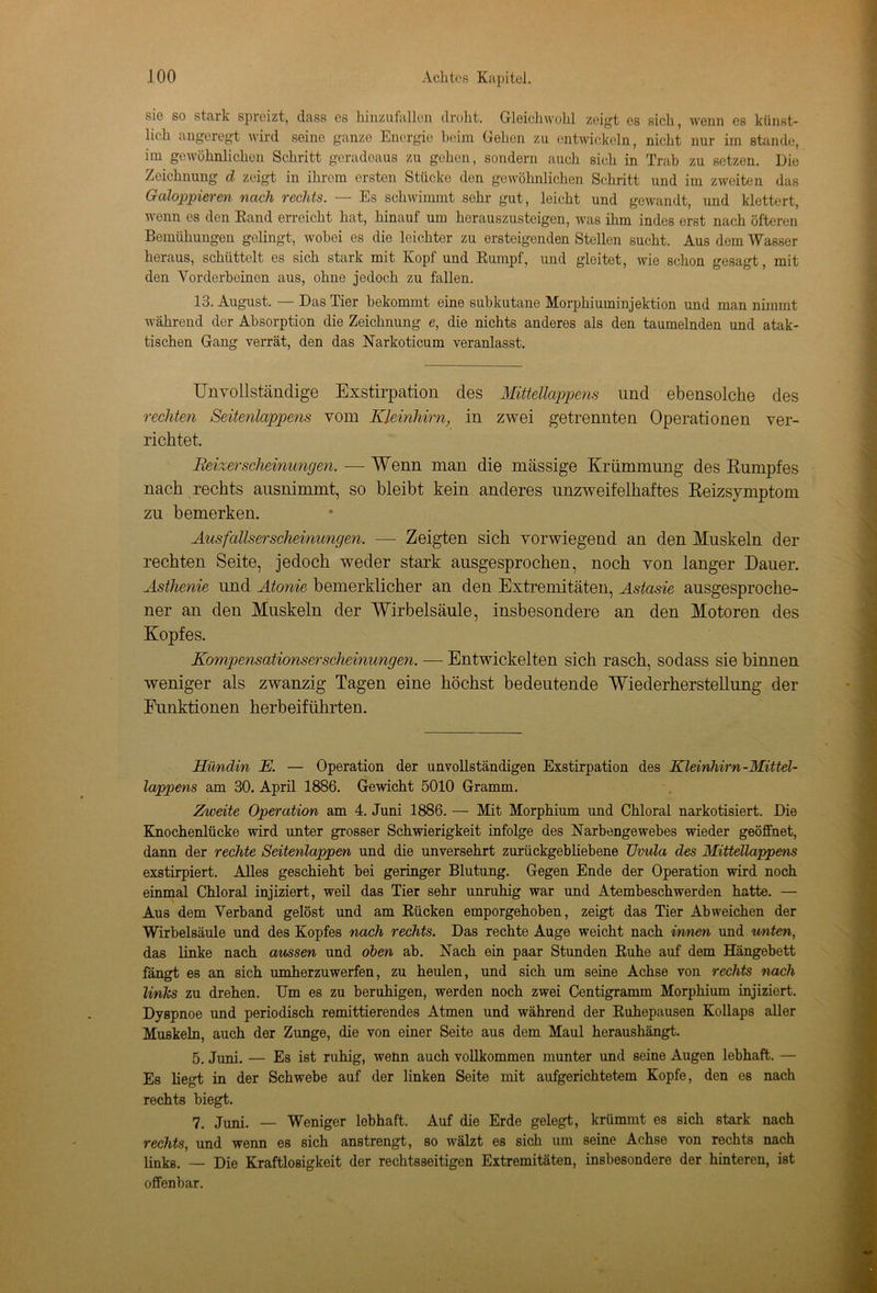 sie so stark spreizt, dass es hinzufallen droht. Gleichwohl zeigt es sich, wenn es künst- lich angeregt wird seine ganze Energie beim Gehen zu entwickeln, nicht nur im stände, im gewöhnlichen Schritt geradeaus zu gehen, sondern auch sich in Trab zu setzen. Die Zeichnung d zeigt in ihrem ersten Stücke den gewöhnlichen Schritt und im zweiten das Galoppieren nach rechts. — Es schwimmt sehr gut, leicht und gewandt, und klettert, wenn es den Rand erreicht hat, hinauf um herauszusteigen, was ihm indes erst nach öfteren Bemühungen gelingt, wobei es die leichter zu ersteigenden Stellen sucht. Aus dem Wasser heraus, schüttelt es sich stark mit Kopf und Rumpf, und gleitet, wie schon gesagt, mit den Vorderbeinen aus, ohne jedoch zu fallen. 13. August. — Das Tier bekommt eine subkutane Morphiuminjektion und man nimmt während der Absorption die Zeichnung e, die nichts anderes als den taumelnden und atak- tischen Gang verrät, den das Narkoticum veranlasst. Unvollständige Exstirpation des Mittellappens und ebensolche des rechten Seitenlappens vom Kleinhirn, in zwei getrennten Operationen ver- richtet. Reizerscheinungen. — Wenn man die massige Krümmung des Rumpfes nach rechts ausnimmt, so bleibt kein anderes unzweifelhaftes Reizsymptom zu bemerken. Ausfallserscheinungen. •— Zeigten sich vorwiegend an den Muskeln der rechten Seite, jedoch weder stark ausgesprochen, noch von langer Dauer. Asthenie und Atonie bemerklicher an den Extremitäten, Astasie ausgesproche- ner an den Muskeln der Wirbelsäule, insbesondere an den Motoren des Kopfes. Kompensationserscheinungen. — Entwickelten sich rasch, sodass sie binnen weniger als zwanzig Tagen eine höchst bedeutende Wiederherstellung der Funktionen herbeiführten. Hündin JE. — Operation der unvollständigen Exstirpation des Kleinhirn-Mittel- lappens am 30. April 1886. Gewicht 5010 Gramm. Zweite Operation am 4. Juni 1886. — Mit Morphium und Chloral narkotisiert. Die Knochenlücke wird unter grosser Schwierigkeit infolge des Narbengewebes wieder geöffnet, dann der rechte Seitenlappen und die unversehrt zurückgebliebene Uvula des Mittellappens exstirpiert. Alles geschieht bei geringer Blutung. Gegen Ende der Operation wird noch einmal Chloral injiziert, weil das Tier sehr unruhig war und Atembeschwerden hatte. — Aus dem Verband gelöst und am Rücken emporgehoben, zeigt das Tier Ab weichen der Wirbelsäule und des Kopfes nach rechts. Das rechte Auge weicht nach i/rmen und unten, das linke nach aussen und oben ab. Nach ein paar Stunden Ruhe auf dem Hängebett fängt es an sich umherzuwerfen, zu heulen, und sich um seine Achse von rechts nach links zu drehen. Um es zu beruhigen, werden noch zwei Centigramm Morphium injiziert. Dyspnoe und periodisch remittierendes Atmen und während der Ruhepausen Kollaps aller Muskeln, auch der Zunge, die von einer Seite aus dem Maul heraushängt. 5. Juni. — Es ist ruhig, wenn auch vollkommen munter und seine Augen lebhaft. — Es liegt in der Schwebe auf der linken Seite mit aufgerichtetem Kopfe, den es nach rechts biegt. 7. Juni. — Weniger lebhaft. Auf die Erde gelegt, krümmt es sich stark nach rechts, und wenn es sich anstrengt, so wälzt es sich um seine Achse von rechts nach links. — Die Kraftlosigkeit der rechtsseitigen Extremitäten, insbesondere der hinteren, ist offenbar.