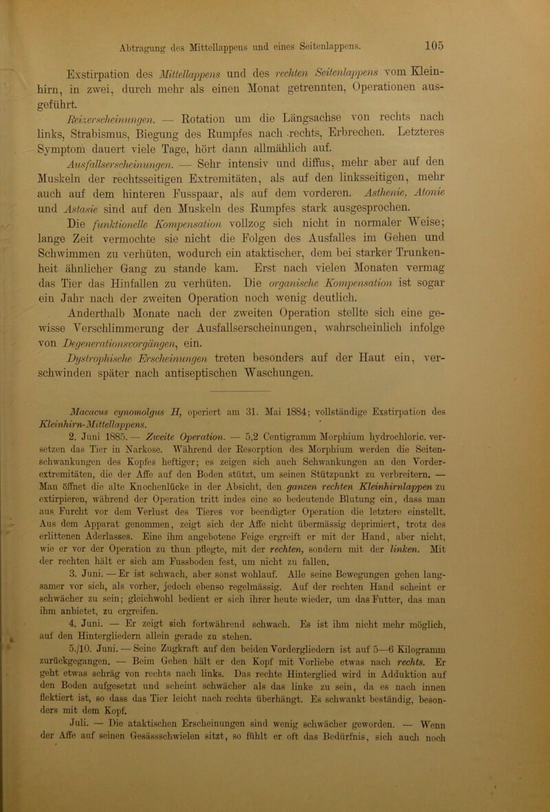 Exstirpation des Mittellappens und des rechten Seitenlappens vom Klein- hirn, in zwei, durch mehr als einen Monat getrennten, Operationen aus- geführt. Reixerscheinungen. — Rotation um die Längsachse von rechts nach links, Strabismus, Biegung des Rumpfes nach -rechts, Erbrechen. Letzteres Symptom dauert viele Tage, hört dann allmählich auf. Ausfallserscheinungen. — Sehr intensiv und diffus, mehr aber auf den Muskeln der rechtsseitigen Extremitäten, als auf den linksseitigen, mehr auch auf dem hinteren Fusspaar, als auf dem vorderen. Asthenie, Atonie und Astasie sind auf den Muskeln des Rumpfes stark ausgesprochen. Die funktionelle Kompensation vollzog sich nicht in normaler Weise; lange Zeit vermochte sie nicht die Folgen des Ausfalles im Gehen und Schwimmen zu verhüten, wodurch ein ataktischer, dem bei starker Trunken- heit ähnlicher Gang zu stände kam. Erst nach vielen Monaten vermag das Tier das Hinfallen zu verhüten. Die organische Kompensation ist sogar ein Jahr nach der zweiten Operation noch wenig deutlich. Anderthalb Monate nach der zweiten Operation stellte sich eine ge- wisse Verschlimmerung der Ausfallserscheinungen, wahrscheinlich infolge von Degenerationsvorgängen, ein. Dystrophische Erscheinungen treten besonders auf der Haut ein, ver- schwinden später nach antiseptischen Waschungen. Macacus cynomolgus H, operiert am 31. Mai 1884; vollständige Exstirpation des Kleinhirn-Mittellappens. 2. Juni 1885. — Ziueite Operation. — 5,2 Centigramm Morphium kydrockloric. ver- setzen das Tier in Narkose. Während der Resorption des Morphium werden che Seiten- schwankungen des Kopfes heftiger; es zeigen sich auch Schwankungen an den Vorder- extremitäten, die der Affe auf den Boden stützt, um seinen Stützpunkt zu verbreitern. — Man öffnet die alte Knochenlücke in der Absicht, den ganzen rechten Kleinhirnlappen zu extirpieren, während der Operation tritt indes eine so bedeutende Blutung ein, dass man aus Furcht vor dem Verlust des Tieres vor beendigter Operation die letztere einstellt. Aus dem Apparat genommen, zeigt sich der Affe nicht übermässig deprimiert, trotz des erlittenen Aderlasses. Eine ihm angebotene Feige ergreift er mit der Hand, aber nicht, wie er vor der Operation zu thun pflegte, mit der rechten, sondern mit der linken. Mit der rechten hält er sich am Fussboden fest, um nicht zu fallen. 3. Juni. — Er ist schwach, aber sonst wohlauf. Alle seine Bewegungen gehen lang- samer vor sich, als vorher, jedoch ebenso regelmässig. Auf der rechten Hand scheint er schwächer zu sein; gleichwohl bedient er sich ihrer heute wieder, um das Futter, das man ihm anbietet, zu ergreifen. 4. Juni. — Er zeigt sich fortwährend schwach. Es ist ihm nicht mehr möglich, auf den Hintergliedern allein gerade zu stehen. 5. /10. Juni. — Seine Zugkraft auf den beiden Vordergliedern ist auf 5—6 Kilogramm zurückgegangen. — Bonn Gehen hält er den Kopf mit Vorliebe etwas nach rechts. Er geht etwas schräg von rechts nach links. Das rechte Hinterglied wird in Adduktion auf den Boden aufgesetzt und scheint schwächer als das linke zu sein, da es nach innen flektiert ist, so dass das Tier leicht nach rechts überhängt. Es schwankt beständig, beson- ders mit dem Kopf. Juli. — Die ataktischen Erscheinungen sind wenig schwächer geworden. — Wenn der Affe auf seinen Gesässschwielen sitzt, so fühlt er oft das Bedürfnis, sich auch noch