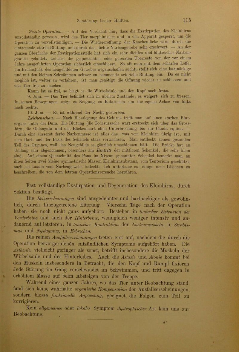 Zweite Operation. — Auf den Verdacht hin, dass die Exstirpation des Kleinhirns unvollständig gewesen, wird das Tier morphinisiert und in den Apparat gesperrt, um die Operation zu vervollständigen. — Die Wiedereröffnung der Knochenlücke wird durch die eintretende starke Blutung und durch das dichte Narbengewehe sehr erschwert. — An der ganzen Oberfläche der Exstirpationsstelle hat sich ein sehr dichtes und blutreiches Narben- gewebe gebildet, welches die gequetschten oder gereizten Überreste von der vor einem Jahre ausgeführten Operation sicherlich einschliesst. So oft man mit dem scharfen Löffel ein Bruchstück des neugebildeten Gewebes wegzuschaflfen sucht, stellt sich eine hartnäckige und mit den kleinen Schwämmen schwer zu hemmende arterielle Blutung ein. Da es nicht möglich ist, weiter zu verfahren, ist man genötigt die Öffnung wieder zu schliessen und das Tier frei zu machen. Kaum ist es frei, so biegt es die Wirbelsäule und den Kopf nach links. 9. Juni. — Das Tier befindet sich in iibelem Zustande; es weigert sich zu fressen. In seinen Bewegungen zeigt es Neigung zu Rotationen um die eigene Achse von links nach rechts. 10. Juni. — Es ist während der Nacht gestorben. Leichenschau. — Nach Blosslegung des Gehirns trifft man auf einen starken Blut- erguss unter der Dura. Die Blutung (die Todesursache war) erstreckt sich über das Gross- him, die Oblongata und das Rückenmark ohne Unterbrechung bis zur Cauda equina. — Durch eine äusserst derbe Narbemnasse ist alles das, was vom Kleinhirn übrig ist, mit dem Dach und der Basis des Schädels stark verwachsen. Man entdeckt keinen gesunden Teil des Organes, weil das Neugebilde es gänzlich umschlossen hält. Die Brücke hat an Umfang sehr abgenommen, besonders am Eintritt der mittleren Schenkel, die sehr klein sind. Auf einem Querschnitt des Pons im Niveau genannter Schenkel bemerkt man an ihren Seiten zwei kleine symmetrische Massen Kleinhirnsubstanz, vom Tentorium geschützt, auch sie aussen vom Narbengewebe bedeckt. Ich unterlasse es, einige neue Läsionen zu beschreiben, die von dem letzten Operationsversuche herrühren. Fast Yollständige Exstirpation und Degeneration des Kleinhirns, durch Sektion bestätigt. Die Reizerscheinungen sind ausgedehnter und hartnäckiger als gewöhn- lich, durch hinzugetretene Eiterung. Vierzehn Tage nach der Operation haben sie noch nicht ganz aufgehört. Bestehen in tonischer Extension der Vorderbeine und auch der Hinterbeine, wenngleich weniger intensiv und an- dauernd auf letzteren; in tonischer Kontraktion der Nackemnuskeln, in Strabis- mus und Nystagmus, in Erbrechen. Die reinen Ausfallserscheinungen treten erst auf, nachdem die durch die Operation hervorgerufen6n entzündlichen Symptome aufgehört haben. Die Asthenie, vielleicht geringer als sonst, betrifft insbesondere die Muskeln der Wirbelsäule und des Hinterleibes. Auch die Astasie und Atonie kommt bei den Muskeln insbesondere in Betracht, die den Kopf und Rumpf fixieren Jede Störung im Gang verschwindet im Schwimmen, und tritt dagegen in erhöhtem Masse auf beim Absteigen von der Treppe. Während eines ganzen Jahres, wo das Tier unter Beobachtung stand, fand sich keine wahrhafte organische Kompensation der Ausfallserscheinungen, sondern blosse funktionelle Anpassung, geeignet, die Folgen zum Teil zu korrigieren. Kein allgemeines oder lokales Symptom dystrophischer Art kam uns zur Beobachtung. 8*