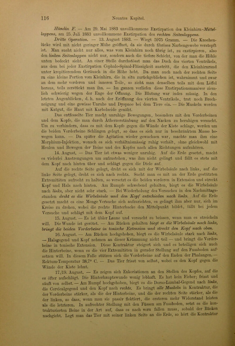 Hündin F. — Am 29. Mai 1883 unvollkommene Exstirpation des Kleinhirn -Mittel- lappens, am 25. Juli 1883 unvollkommene Exstirpation des rechten Seitenlappens. Dritte Operation. — 13. August 1883. — Wiegt 5975 Gramm. — Die Knochen- lücke wird mit nicht geringer Mühe geöffnet, da sie durch fibröses Narbengewebe verstopft ist. Man sucht nicht nur alles, was vom Kleinhirn noch übrig ist, zu exstirpieren, also den linken Seitenlappen nicht nur, sondern auch die tiefere Schicht, von der man die Höhle unten bedeckt sieht. An einer Stelle durchstösst man das Dach des vierten Ventrikels, aus dem hei jeder Exstirpation Cephalo-Spinal-Flüssigkeit austritt, die den Kleinhirnrand unter krepitierendem Geräusch in die Höhe hebt. Da man auch nach der rechten Seite zu eine kleine Portion vom Kleinhirn, die in situ zurückgeblieben ist, wahrnimmt und zwar an dem mehr vorderen und inneren Teile, so zieht man denselben teils mit dem Löffel heraus, teils zerstückt man ihn. — Im ganzen verliefen diese Exstirpationsmanöver ziem- lich schwierig wegen der Enge der Öffnung. Die Blutung war indes massig. In den letzten Augenblicken, d. h. nach der Eröffnung des vierten Ventrikels, trat noch Brech- neigung und eine gewisse Unruhe und Dyspnoe bei dem Tiere ein. — Die Muskeln werden mit Katgut, die Haut mit Karbolseide genäht. Das entfesselte Tier macht unruhige Bewegungen, besonders mit den Vorderbeinen und dem Kopfe, die man durch Ätherzerstäubung auf den Nacken zu beruhigen versucht. Um zu verhindern, dass es mit dem Kopfe gegen die Wände der Kiste schlage, werden um die beiden Vorderbeine Schlingen gelegt, so dass es sich nur in beschränktem Masse be- wegen kann. — Da später die Agitation wieder gewachsen war, machte man ihm eine Morphium-Injektion, wonach es sich verhältnismässig ruhig verhält, ohne gleichwohl mit Heulen und Bewegen der Beine und des Kopfes nach allen Bichtungen aufzuhören. 14. August. — Das Tier ist etwas weniger unruhig. Auf die Erde gesetzt, macht es vielerlei Anstrengungen um aufzustehen, was ihm nicht gelingt und fällt es stets mit dem Kopf nach hinten über und schlägt gegen die Diele auf. Auf die rechte Seite gelegt, dreht es sich mit der Wirbelsäule nach links, auf die linke Seite gelegt, dreht es sich nach rechts. Sucht man es mit an der Erde gestützten Extremitäten aufrecht zu halten, so versetzt es die beiden vorderen in Extension und streckt Kopf und Hals nach hinten. Am Bumpfe schwebend gehalten, biegt es die Wirbelsäule nach links, aber nicht sehr stark. — Bei Wiederholung des Versuches in den Nachmittags- stunden dreht es die Wirbelsäule und den Kopf entschieden nach links. Auf die Erde gesetzt macht es eine Menge Versuche sich aufzurichten, es gelingt ihm aber nur, sich im Kreise zu drehen, wobei die rechte Hinterbacke den Mittelpunkt bildet, iällt bei jedem Versuche und schlägt mit dem Kopf auf. 15. August. — Es ist übler Laune und versucht zu heissen, wenn man es streicheln will. Die Wunde ist gerötet. — Am Bücken gehalten biegt es die Wirbelsäule nach links, bringt die beiden Vorderbeine in tonische Extension und streckt den Kopf nach oben. 16. August. — Am Bücken hochgehoben, biegt es die Wirbelsäule stark nach links, — Halsgegend und Kopf nehmen an dieser Krümmung nicht teil — und bringt die Vorder- beine in tonische Extension. Diese Kontraktur steigert sich und es beteiligen sich auch die Hinterbeine, wenn es die vier Extremitäten in gerader Stellung auf den Fussboden auf- setzen will. In diesem Falle stützen sich die Vorderbeine auf den Enden der Phalangen. — Bektum-Temperatur 38,7° C. — Das Tier frisst von selbst, wobei es den Kopf gegen die Wände der Kiste lehnt. 17. /19. August. — Es zeigen sich Exkoriationen an den Stellen des Kopfes, auf die es öfter aufschlägt. Die Hinterhauptswunde wenig lebhaft. Es hat kein Fieber; frisst und säuft von selbst. — Am Burnpf hochgehoben, biegt es die Dorso-Lumbal-Gegend nach links, die Cervicalgegend und den Kopf nach rechts. Es bringt alle Muskeln in Kontraktur, die der Vorderbeine stärker, als die der Hinterbeine, und die der rechten Seite stärker, als die der linken, so dass, wenn man sie passiv flektiert, die ersteren mehr Widerstand leisten als die letzteren. In aufrechter Stellung mit den Füssen am Fussboden, setzt es die kon- trakturierten Beine in der Art auf, dass es nach vorn fallen muss, sobald der Bücken nachgiebt. Legt man das Tier mit seiner linken Seite an die Erde, so hört die Kontraktur