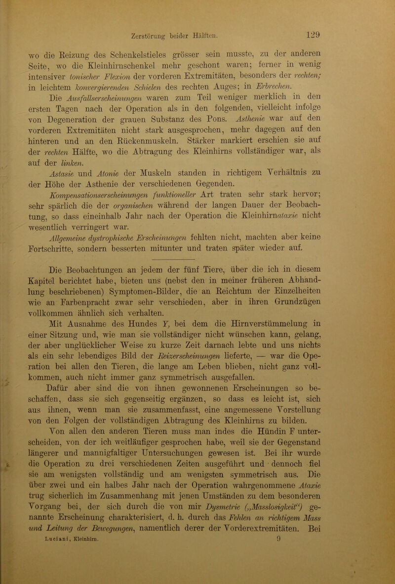 wo die Reizung des Schenkelstieles grösser sein musste, zu der anderen Seite, wo die Kleinhirnschenkel mehr geschont waren; ferner in wenig intensiver ionischer Flexion der vorderen Extremitäten, besonders der rechten; in leichtem konvergierenden Schielen des rechten Auges; in Erbrechen. Die Ausfallserscheinungen waren zum Teil weniger merklich in den ersten Tagen nach der Operation als in den folgenden, vielleicht infolge von Degeneration der grauen Substanz des Pons. Asthenie war auf den vorderen Extremitäten nicht stark ausgesprochen, mehr dagegen auf den hinteren und an den Rückenmuskeln. Stärker markiert erschien sie auf der rechten Hälfte, wo die Abtragung des Kleinhirns vollständiger war, als auf der linken. Astasie und Atonie der Muskeln standen in richtigem Verhältnis zu der Höhe der Asthenie der verschiedenen Gegenden. Kompensationserscheinungen funktioneller Art traten sehr stark hervor; sehr spärlich die der organischen während der langen Dauer der Beobach- tung, so dass eineinhalb Jahr nach der Operation die Kleinhirnaiaxie nicht wesentlich verringert war. Allgemeine dystrophische Erscheinungen fehlten nicht, machten aber keine Fortschritte, sondern besserten mitunter und traten später wieder auf. Die Beobachtungen an jedem der fünf Tiere, über die ich in diesem Kapitel berichtet habe, bieten uns (nebst den in meiner früheren Abhand- lung beschriebenen) Symptomen-Bilder, die an Reichtum der Einzelheiten wie an Farbenpracht zwar sehr verschieden, aber in ihren Grundzügen vollkommen ähnlich sich verhalten. Mit Ausnahme des Hundes Y, bei dem die Hirnverstümmelung in einer Sitzung und, wie man sie vollständiger nicht wünschen kann, gelang, der aber unglücklicher Weise zu kurze Zeit darnach lebte und uns nichts als ein sehr lebendiges Bild der Reizerscheinungen lieferte, — war die Ope- ration bei allen den Tieren, die lange am Leben blieben, nicht ganz voll- kommen, auch nicht immer ganz symmetrisch ausgefallen. Dafür aber sind die von ihnen gewonnenen Erscheinungen so be- schaffen, dass sie sich gegenseitig ergänzen, so dass es leicht ist, sich aus ihnen, wenn man sie zusammenfasst, eine angemessene Vorstellung von den Folgen der vollständigen Abtragung des Kleinhirns zu bilden. Von allen den anderen Tieren muss man indes die Hündin F unter- scheiden, von der ich weitläufiger gesprochen habe, weil sie der Gegenstand längerer und mannigfaltiger Untersuchungen gewesen ist. Bei ihr wurde die Operation zu drei verschiedenen Zeiten ausgeführt und dennoch fiel sie am wenigsten vollständig imd am wenigsten symmetrisch aus. Die über zwei und ein halbes Jahr nach der Operation Avahrgenommene Ataxie trug sicherlich im Zusammenhang mit jenen Umständen zu dem besonderen Vorgang bei, der sich durch die von mir Dysmetrie („Masslosigkeit“) ge- nannte Erscheinung charakterisiert, d. h. durch das Fehlen an richtigem Mass und Leitung der Bewegungen, namentlich derer der Vorderextremitäten. Bei Luciani, Kleinhirn. 9