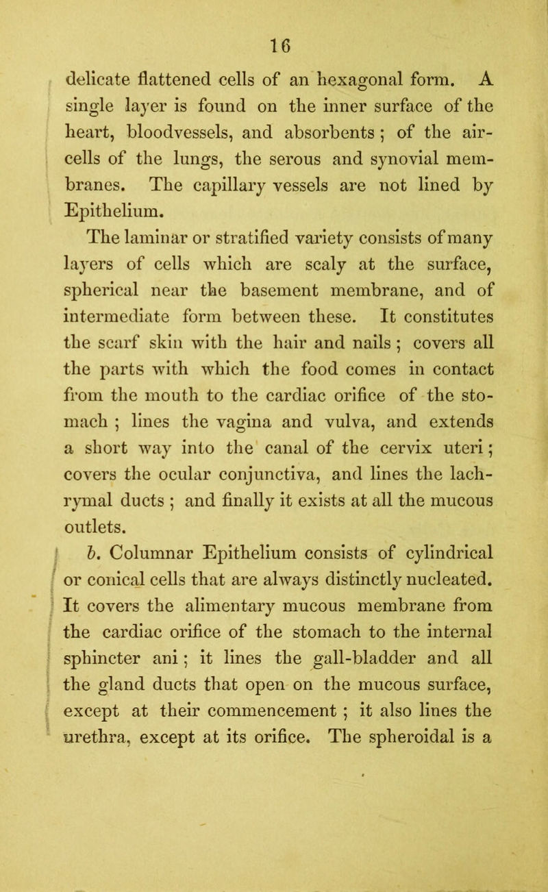 delicate flattened cells of an hexagonal form. A single layer is found on the inner surface of the heart, bloodvessels, and absorbents ; of the air- cells of the lungs, the serous and synovial mem- branes. The capillary vessels are not lined by Epithelium. The laminar or stratified variety consists of many layers of cells which are scaly at the surface, spherical near the basement membrane, and of intermediate form between these. It constitutes the scarf skin with the hair and nails ; covers all the parts with which the food comes in contact from the mouth to the cardiac orifice of the sto- mach ; lines the vagina and vulva, and extends a short way into the canal of the cervix uteri; covers the ocular conjunctiva, and lines the lach- rymal ducts ; and finally it exists at all the mucous outlets. b. Columnar Epithelium consists of cylindrical or conical cells that are always distinctly nucleated. It covers the alimentary mucous membrane from the cardiac orifice of the stomach to the internal sphincter ani; it lines the gall-bladder and all the gland ducts that open on the mucous surface, except at their commencement ; it also lines the urethra, except at its orifice. The spheroidal is a