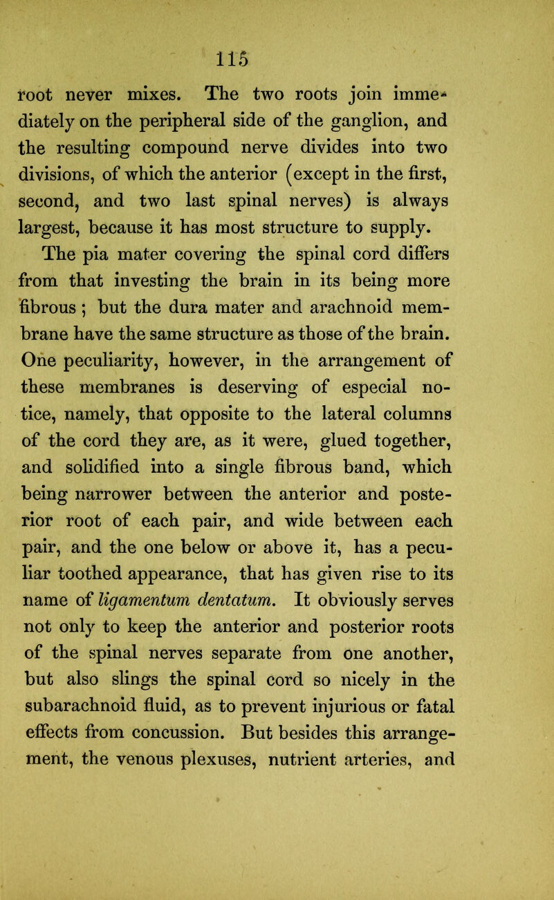 root never mixes. The two roots join imme* diately on the peripheral side of the ganglion, and the resulting compound nerve divides into two divisions, of which the anterior (except in the first, second, and two last spinal nerves) is always largest, because it has most structure to supply. The pia mater covering the spinal cord differs from that investing the brain in its being more fibrous ; but the dura mater and arachnoid mem- brane have the same structure as those of the brain. One peculiarity, however, in the arrangement of these membranes is deserving of especial no- tice, namely, that opposite to the lateral columns of the cord they are, as it were, glued together, and solidified into a single fibrous band, which being narrower between the anterior and poste- rior root of each pair, and wide between each pair, and the one below or above it, has a pecu- liar toothed appearance, that has given rise to its name of ligamentum dentatum. It obviously serves not only to keep the anterior and posterior roots of the spinal nerves separate from one another, but also slings the spinal cord so nicely in the subarachnoid fluid, as to prevent injurious or fatal effects from concussion. But besides this arrange- ment, the venous plexuses, nutrient arteries, and