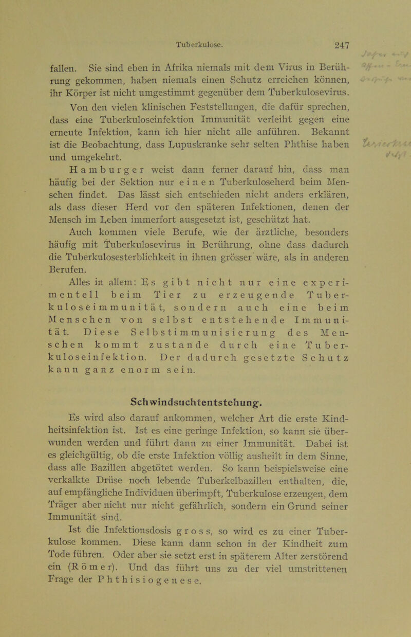 fallen. Sie sind eben in Afrika niemals mit dem Virus in Berüh- rung gekommen, haben niemals einen Schutz erreichen können, ihr Körper ist nicht umgestimmt gegenüber dem Tuberkulosevirus. Von den vielen khnischen Feststellungen, die dafür sprechen, dass eine Tuberkuloseinfektion Immunität verleiht gegen eine erneute Infektion, kann ich hier nicht alle anführen. Bekannt ist die Beobachtung, dass Bupuskranke sehr selten Phthise haben und umgekehrt. Hamburger weist dann ferner darauf hin, dass man häufig bei der Sektion nur einen Tuberkuloseherd beim Men- schen findet. Das lässt sich entschieden nicht anders erklären, als dass dieser Herd vor den späteren Infektionen, denen der ]\Iensch im Beben immerfort ausgesetzt ist, geschützt hat. Auch kommen viele Berufe, wie der ärztliche, besonders häufig mit Tuberkulosevirus in Berührung, ohne dass dadurch die Tuberkulosesterblichkeit in ihnen grösser wäre, als in anderen Berufen. Alles in allem;Bs gibt nicht nur eine experi- mentell beim Tier zu erzeugende Tuber- kuloseimniunität, sondern auch eine beim Menschen von selbst entstehende Immuni- tät. Diese Selbstimmunisierung des Men- schen kommt zustande durch eine Tuber- kuloseinfektion. Der dadurch gesetzte Schutz kann ganz enorm sein. Schwindsuchtentstehung;. Es wird also darauf ankommen, welcher Art die erste Kind- heitsinfektion ist. Ist es eine geringe Infektion, so kann sie über- wunden werden und führt dann zu einer Immunität. Dabei ist es gleichgültig, ob die erste Infektion völlig ausheilt in dem Sinne, dass alle Bazillen abgetötet werden. So kann beispielsweise eine verkalkte Drüse noch lebende Tuberkelbazillen enthalten, die, auf empfänghche Individuen überimpft, Tuberkulose erzeugen, dem Träger aber nicht nur nicht gefährlich, sondern ein Grund seiner Immunität sind. Ist die Infektionsdosis gross, so wird es zu einer Tuber- kulose kommen. Diese kann dann schon in der Kindheit zum Tode führen. Oder aber sie setzt erst in späterem Alter zerstörend ein (Römer). Und das führt uns zu der viel umstrittenen Frage der P h t h i s i o g e n e s e.