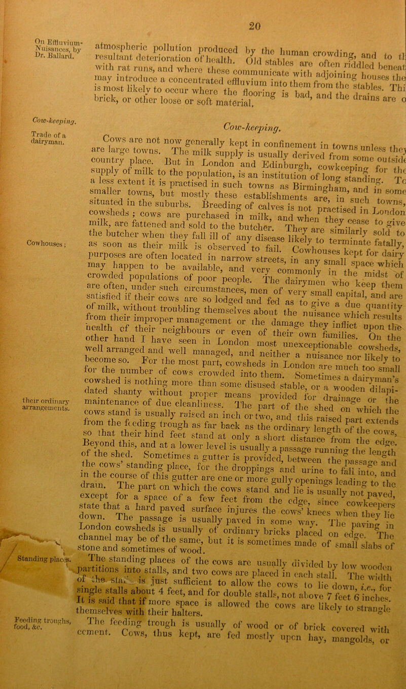 Oh Effluvium* Nuisances, bv Er. Ballard. Trade of a dairyman. Cowhouses; their ordinary arrangements. human crowding, and to tI Cow-keeping. / Standing places. Feeding troughs, food, &c. Cow-keeping. are larS° towns. The milk supply is usually derive 1 from *  6S country place. But in London and Edinburgh. *UPly ° m;lk t0 the Population, is an institution of W sfandintr t a 1(f ex+tent ^ * practised in such towns as Bimingham andt smaller towns, but mostly these establishments are in’such situated m the suburbs. Breeding of calves is not nS, , • Ttowns’ cowsheds ; cows are purchased inmilk and wtnP?b d ln London milk, are fattened and sold to the butcher ‘ Thev I t0 Ive the butcher when they full ill ofany^ diLeSv to Z f\t0 as soon as their milk is observed to fed IT &tally, purposes are often located in narrow streets in vk^ses kePfc ^r dmry may happen to be available, Z veTc’Z crowded populations of poor people Tho ^ le midst of are often, under such circumstances men of ail7men w^°. keep them satisfied if their cows are so lodged’and fed as to 'ITvp Ca]Jlta ’ anrl are of milk, without troubling themselves about the H d? quantity from their improper manao-pment nr .p i ° 11 uisance which results health of tSwn'l^T * T *? heoome S°.° For the most foi the number of cows crowded into them cnm6f 1 . ' <l dah-tl iStn0,hinI m0ie tha some dis“sed s'taWe, orTwctderSni! dated shanty without proper means nrmnriari r , c maintenance of due cleanliness. The pS of the shed3’^t* cows stand is usually raised an inch or two »„d tH« • i dl ,Ile from the feeding trough as far back so that their hind feet stand at only a short dSancefrnm ,h! V’ Beyond th.s, and at a lower level is usually a passage running the length of the shed. Sometimes a gutter is provided hpfwpon m & 6 e ° 1 the cows’ standing place, for the kST “2 in the course of this gutter are one or more gully opening leading t’n rtf dram. The part on which the cows stand and Ue is ZaHv iuofi ? except for a space of a few feet from theVcWe ’ state that a hard paved surface injures the cows’ knees when they lie down. The passage is usually paved in some way The London cowsheds is usually of ordinary bricks placed on ecfce The channel may be of the same, but it is sometimes made of miall shbfnf stone and sometimes of wood. aJ1 &Jabb °* Ihe standing places of the cows are usually divided by low wood,.,, partitions into stalls, and two cows are placed in each stall The width of M 4u is jfet sufficient to allow the cows to lie down ie f . single stalls about 4 feet, and for double stalls, not above 7 feet 6 inched t is said that if more space is allowed the cows are likely to strangle themselves with their halters. } sn angle The feeding trough is usually of wood or of brick covered with cement. Cows, thus kept, are'fed mostly upon W,