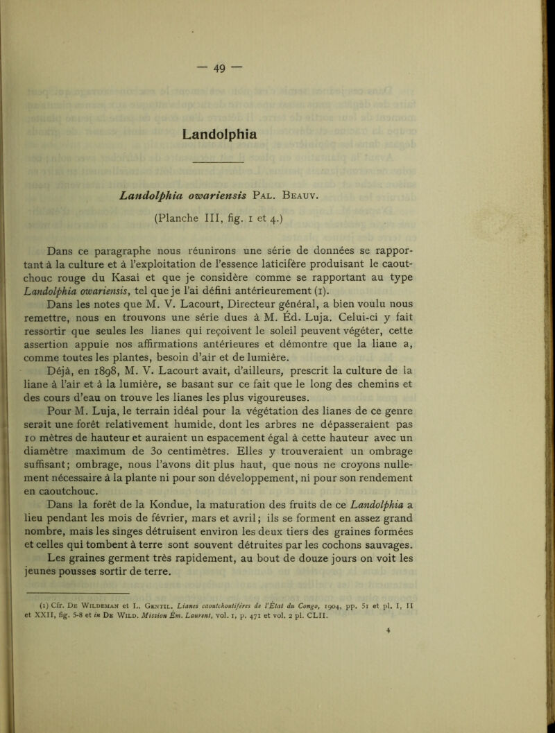 Landolphia Landolphia owariensis Pal. Beauv. (Planche III, fig. i et 4.) Dans ce paragraphe nous réunirons une série de données se rappor- tant à la culture et à l’exploitation de l’essence laticifère produisant le caout- chouc rouge du Kasai et que je considère comme se rapportant au type Landolphia owariensis, tel que je l’ai défini antérieurement (i). Dans les notes que M. V. Lacourt, Directeur général, a bien voulu nous remettre, nous en trouvons une série dues à M. Éd. Luja. Celui-ci y fait ressortir que seules les lianes qui reçoivent le soleil peuvent végéter, cette assertion appuie nos affirmations antérieures et démontre que la liane a, comme toutes les plantes, besoin d’air et de lumière. Déjà, en i8g8, M. V. Lacourt avait, d’ailleurs, prescrit la culture de la liane à l’air et à la lumière, se basant sur ce fait que le long des chemins et des cours d’eau on trouve les lianes les plus vigoureuses. Pour M. Luja, le terrain idéal pour la végétation des lianes de ce genre serait une forêt relativement humide, dont les arbres ne dépasseraient pas 10 mètres de hauteur et auraient un espacement égal à cette hauteur avec un diamètre maximum de 3o centimètres. Elles y trouveraient un ombrage suffisant; ombrage, nous l’avons dit plus haut, que nous ne croyons nulle- ment nécessaire à la plante ni pour son développement, ni pour son rendement en caoutchouc. Dans la forêt de la Kondue, la maturation des fruits de ce Landolphia a lieu pendant les mois de février, mars et avril ; ils se forment en assez grand nombre, mais les singes détruisent environ les deux tiers des graines formées et celles qui tombent à terre sont souvent détruites par les cochons sauvages. Les graines germent très rapidement, au bout de douze jours on voit les jeunes pousses sortir de terre. (i) Cfr. De Wildeman et L. Gentil. Lianes caoutchoutifères de l'État du Congo, 1904, pp. 5i et pl. I, II et XXII, fig. 5-8 et in De Wild. Mission Èm. Laurent, vol. i, p. 471 et vol. 2 pl. CLII. 4