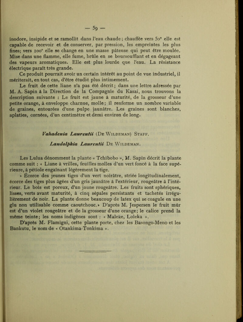 inodore, insipide et se ramollit dans l’eau chaude ; chauffée vers 5o elle est capable de recevoir et de conserver, par pression, les empreintes les plus fines; vers ioo° elle se change en une masse pâteuse qui peut être moulée. Mise dans une flamme, elle fume, brûle en se boursouffiant et en dégageant des vapeurs aromatiques. Elle est plus lourde que l’eau. La résistance électrique paraît très grande. Ce produit pourrait avoir un certain intérêt au point de vue industriel, il mériterait, en tout cas, d’être étudié plus intimement. Le fruit de cette liane n’a pas été décrit; dans une lettre adressée par M. A. Sapin à la Direction de la Compagnie du Kasai, nous trouvons la description suivante : Le fruit est jaune à maturité, de la grosseur d’une petite orange, à enveloppe charnue, molle ; il renferme un nombre variable de graines, entourées d'une pulpe jaunâtre. Les graines sont blanches, aplaties, cornées, d’un centimètre et demi environ de long. Vahadenia Laurentii (DeWildeman) Staff. Landolphia Laurentii De Wildeman. Les Lulua dénomment la plante « Tchibobo m, M. Sapin décrit la plante comme suit : « Liane â vrilles, feuilles molles d’un vert foncé â la face supé- rieure, â pétiole engainant légèrement la tige. » Écorce des jeunes tiges d’un vert noirâtre, striée longitudinalement, écorce des tiges plus âgées d’un gris jaunâtre à l’extérieur, rougeâtre â l’inté- rieur. Le bois est poreux, d’un jaune rougeâtre. Les fruits sont sphériques, lisses, verts avant maturité, à cinq sépales persistants et tachetés irrégu- lièrement de noir. La plante donne beaucoup de latex qui se coagule en une glu non utilisable comme caoutchouc.» D’après M. Jespersen le fruit mûr est d’un violet rougeâtre et de la grosseur d’une orange; le calice prend la même teinte; les noms indigènes sont : « Maleke, Loleka ». D’après M. Flamigni, cette plante porte, chez les Basongo-Meno et les Bankutu, le nom de « Otankima-Tonkima ».