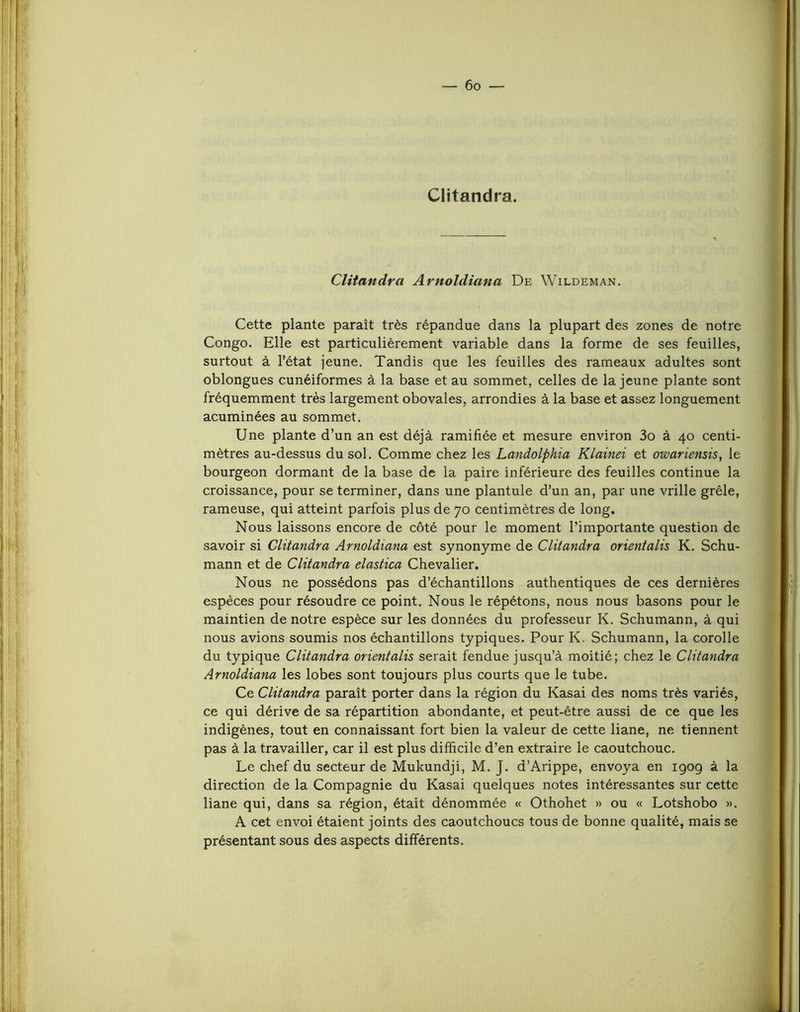 Clitandra. CUtandra Arnoldiana De Wildeman. Cette plante paraît très répandue dans la plupart des zones de notre Congo, Elle est particulièrement variable dans la forme de ses feuilles, surtout à l’état jeune. Tandis que les feuilles des rameaux adultes sont oblongues cunéiformes à la base et au sommet, celles de la jeune plante sont fréquemment très largement obovales, arrondies à la base et assez longuement acuminées au sommet. Une plante d’un an est déjà ramifiée et mesure environ 3o à 40 centi- mètres au-dessus du sol. Comme chez les Landolphia Klainei et owariensis, le bourgeon dormant de la base de la paire inférieure des feuilles continue la croissance, pour se terminer, dans une plantule d’un an, par une vrille grêle, rameuse, qui atteint parfois plus de 70 centimètres de long. Nous laissons encore de côté pour le moment l’importante question de savoir si Clitandra Arnoldiana est synonyme de Clitandra orientalis K. Schu- mann et de Clitandra elastica Chevalier. Nous ne possédons pas d’échantillons authentiques de ces dernières espèces pour résoudre ce point. Nous le répétons, nous nous basons pour le maintien de notre espèce sur les données du professeur K. Schumann, à qui nous avions soumis nos échantillons typiques. Pour K. Schumann, la corolle du typique Clitandra orientalis serait fendue jusqu’à moitié; chez le Clitandra Arnoldiana les lobes sont toujours plus courts que le tube. Ce Clitandra paraît porter dans la région du Kasai des noms très variés, ce qui dérive de sa répartition abondante, et peut-être aussi de ce que les indigènes, tout en connaissant fort bien la valeur de cette liane, ne tiennent pas à la travailler, car il est plus difficile d’en extraire le caoutchouc. Le chef du secteur de Mukundji, M. J. d’Arippe, envoya en igog à la direction de la Compagnie du Kasai quelques notes intéressantes sur cette liane qui, dans sa région, était dénommée « Othohet » ou « Lotshobo ». A cet envoi étaient joints des caoutchoucs tous de bonne qualité, mais se présentant sous des aspects différents.