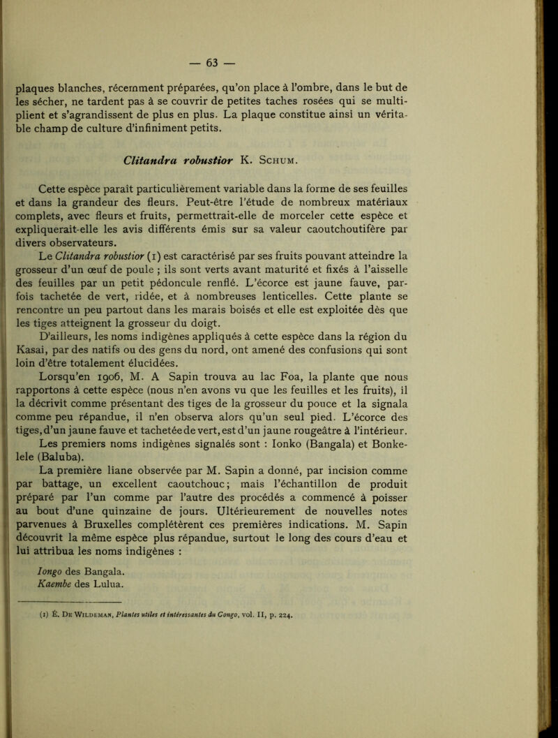 1 — 63 — plaques blanches, récemment préparées, qu’on place à l’ombre, dans le but de les sécher, ne tardent pas à se couvrir de petites taches rosées qui se multi- plient et s’agrandissent de plus en plus. La plaque constitue ainsi un vérita- ble champ de culture d’infiniment petits. Clitandra robustior K. Schum. Cette espèce paraît particulièrement variable dans la forme de ses feuilles et dans la grandeur des fleurs. Peut-être l'étude de nombreux matériaux complets, avec fleurs et fruits, permettrait-elle de morceler cette espèce et expliquerait-elle les avis différents émis sur sa valeur caoutchoutifère par divers observateurs. Le Clitandra robustior (i) est caractérisé par ses fruits pouvant atteindre la grosseur d’un œuf de poule ; ils sont verts avant maturité et fixés à l’aisselle des feuilles par un petit pédoncule renflé. L’écorce est jaune fauve, par- fois tachetée de vert, ridée, et à nombreuses lenticelles. Cette plante se rencontre un peu partout dans les marais boisés et elle est exploitée dès que les tiges atteignent la grosseur du doigt. D’ailleurs, les noms indigènes appliqués à cette espèce dans la région du Kasai, par des natifs ou des gens du nord, ont amené des confusions qui sont loin d’être totalement élucidées. Lorsqu’en 1906, M. A Sapin trouva au lac Foa, la plante que nous rapportons à cette espèce (nous n’en avons vu que les feuilles et les fruits), il la décrivit comme présentant des tiges de la grosseur du ponce et la signala comme peu répandue, il n’en observa alors qu’un seul pied. L’écorce des tiges, d’un jaune fauve et tachetée de vert, est d’un jaune rougeâtre à l’intérieur. Les premiers noms indigènes signalés sont ; lonko (Bangala) et Bonke- lele (Baluba). La première liane observée par M. Sapin a donné, par incision comme par battage, un excellent caoutchouc; mais l’échantillon de produit préparé par l’un comme par l’autre des procédés a commencé à poisser au bout d’une quinzaine de jours. Ultérieurement de nouvelles notes parvenues à Bruxelles complétèrent ces premières indications. M. Sapin découvrit la même espèce plus répandue, surtout le long des cours d’eau et lui attribua les noms indigènes : longo des Bangala. Kaemhe des Lulua. i l I I (i) É. De Wildeman, Plantes utiles et intéressantes du Congo, vol. II, p. 224.