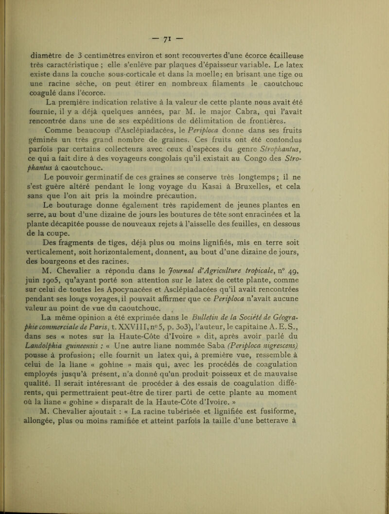 diamètre de 3 centimètres environ et sont recouvertes d’une écorce écailleuse très caractéristique ; elle s’enlève par plaques d’épaisseur variable. Le latex existe dans la couche sous-corticale et dans la moelle; en brisant une tige ou une racine sèche, on peut étirer en nombreux filaments le caoutchouc coagulé dans l’écorce. La preriiière indication relative à la valeur de cette plante nous avait été fournie, il y a déjà quelques années, par M. le major Cabra, qui l’avait rencontrée dans une de ses expéditions de délimitation de frontières. Comme beaucoup d’Asclépiadacées, le Periploca donne dans ses fruits géminés un très grand nombre de graines. Ces fruits ont été confondus parfois par certains collecteurs avec ceux d’espèces du genre Strophantus, ce qui a fait dire à des voyageurs congolais qu’il existait au Congo des Stro- phantus à caoutchouc. Le pouvoir germinatif de ces graines se conserve très longtemps ; il ne s’est guère altéré pendant le long voyage du Kasai à Bruxelles, et cela sans que l’on ait pris la moindre précaution. Le bouturage donne également très rapidement de jeunes plantes en serre, au bout d’une dizaine de jours les boutures de tête sont enracinées et la plante décapitée pousse de nouveaux rejets à l’aisselle des feuilles, en dessous de la coupe. Des fragments de tiges, déjà plus ou moins lignifiés, mis en terre soit verticalement, soit horizontalement, donnent, au bout d’une dizaine de jours, des bourgeons et des racines. M. Chevalier a répondu dans le Journal d’Agriculture tropicale, n° 49, juin igo5, qu’ayant porté son attention sur le latex de cette plante, comme sur celui de toutes les Apocynacées et Asclépiadacées qu’il avait rencontrées pendant ses longs voyages, il pouvait affirmer que ce Periploca n’avait aucune valeur au point de vue du caoutchouc. La même opinion a êtê exprimée dans le Bulletin de la Société de Géogra- phie commerciale de Paris, t. XXVIII, n°5, p. 3o3), l’auteur, le capitaine A. E.S., dans ses « notes sur la Haute-Côte d’ivoire » dit, après avoir parlé du Landolphia gumeensis : « Une autre liane nommée Saba (Periploca nigrescens) pousse à profusion; elle fournit un latex qui, à première vue, ressemble à celui de la liane « gohine » mais qui, avec les procédés de coagulation employés jusqu’à présent, n’a donné qu’un produit* poisseux et de mauvaise qualité. Il serait intéressant de procéder à des essais de coagulation diffé- rents, qui permettraient peut-être de tirer parti de cette plante au moment où la liane « gohine » disparaît de la Haute-Côte d’ivoire. » M. Chevalier ajoutait ; « La racine tubérisée et lignifiée est fusiforme, allongée, plus ou moins ramifiée et atteint parfois la taille d’une betterave à