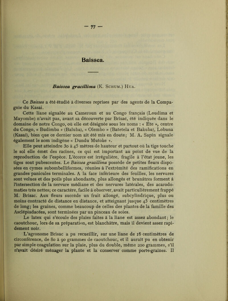 Baissea. Baissea gracillima (K. Schum.) Hua. Ce Baissea a été étudié à diverses reprises par des agents de la Compa- gnie du Kasai. Cette liane signalée au Cameroun et au Congo français (Loudima et Mayombe) n’avait pas, avant sa découverte par Brisac, été indiquée dans le domaine de notre Congo, où elle est désignée sous les noms : « Eté », centre du Congo, « Budimba » (Baluba), « Olembo » (Batetela et Bakuba), Lobuna (Kasai), bien que ce dernier nom ait été mis en doute; M. A. Sapin signale également le nom indigène « Dundu Mutoke ». Elle peut atteindre 3o à qS mètres de hauteur et partout où la tige touche le sol elle émet des racines, ce qui est important au point de vue de la reproduction de l’espèce. L’écorce est irrégulière, fragile à l’état jeune, les tiges sont pubescentes. Le Baissea gracillima possède de petites fleurs dispo- sées en cymes subombelliformes, réunies à l’extrémité des ramifications en grandes panicules terminales. A la face inférieure des feuilles, les nervures sont velues et des poils plus abondants, plus allongés et brunâtres forment à l’intersection de la nervure médiane et des nervures latérales, des acarodo- maties très nettes; ce caractère, facile à observer, avait particulièrement frappé M. Brisac. Aux fleurs succède un fruit allongé, subcylindrique, plus ou moins contracté de distance en distance, et atteignant jusque q5 centimètres de long; les graines, comme beaucoup de celles des plantes de la famille des Asclépiadacées, sont terminées par un pinceau de soies. Le latex qui s’écoule des plaies faites à la liane est assez abondant ; le caoutchouc, lors de sa préparation, est blanchâtre, mais il devient assez rapi- dement noir. L’agronome Brisac a pu recueillir, sur une liane de i6 centimètres de circonférence, de 8o â go grammes de caoutchouc, et il aurait pu en obtenir par simple coagulation sur la plaie, plus du double, même 200 grammes, s’il n’avait désiré ménager la plante et la conserver comme porte-graines. Il